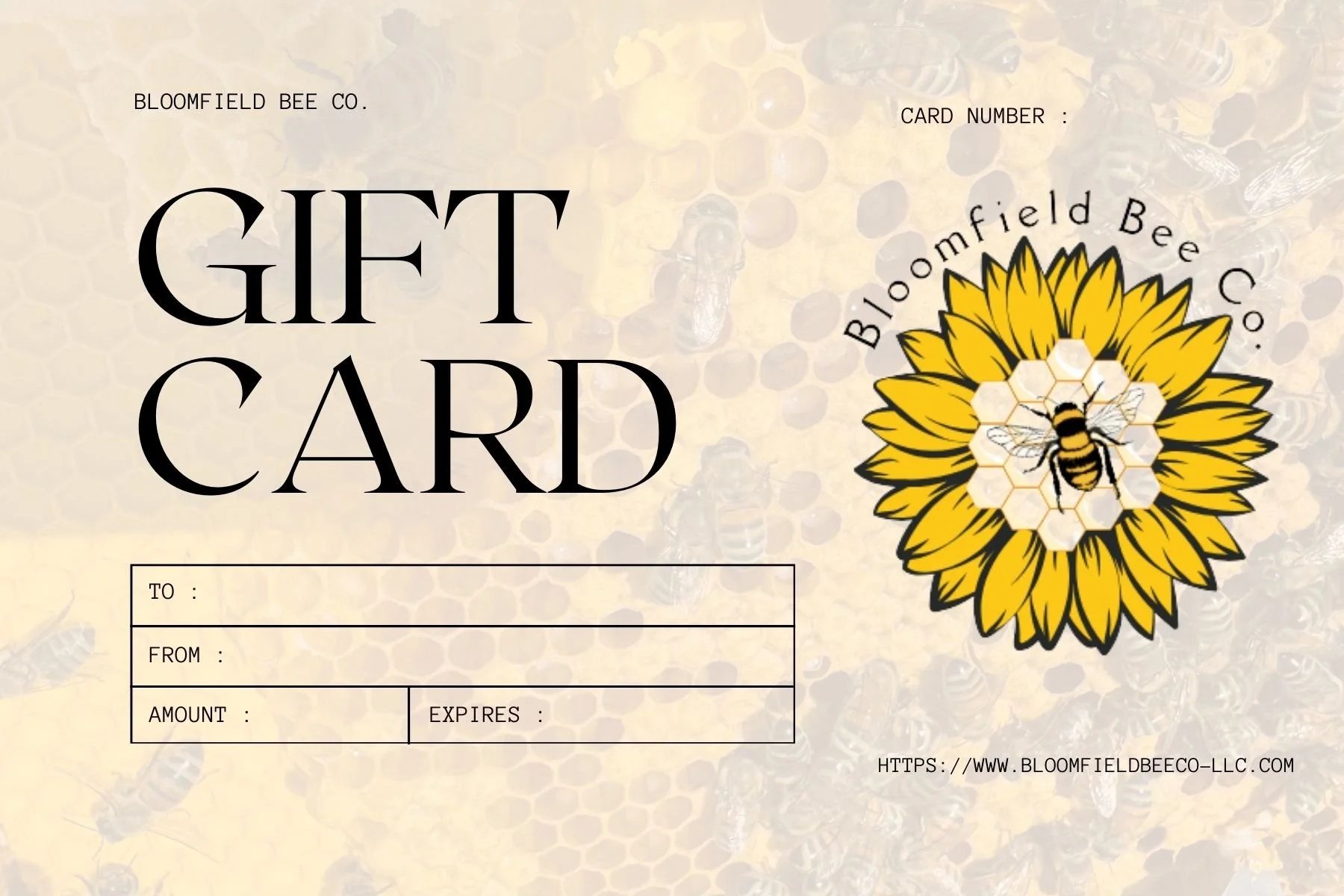 Modern Minimalist Cream Shadow Gift Card Voucher.jpg