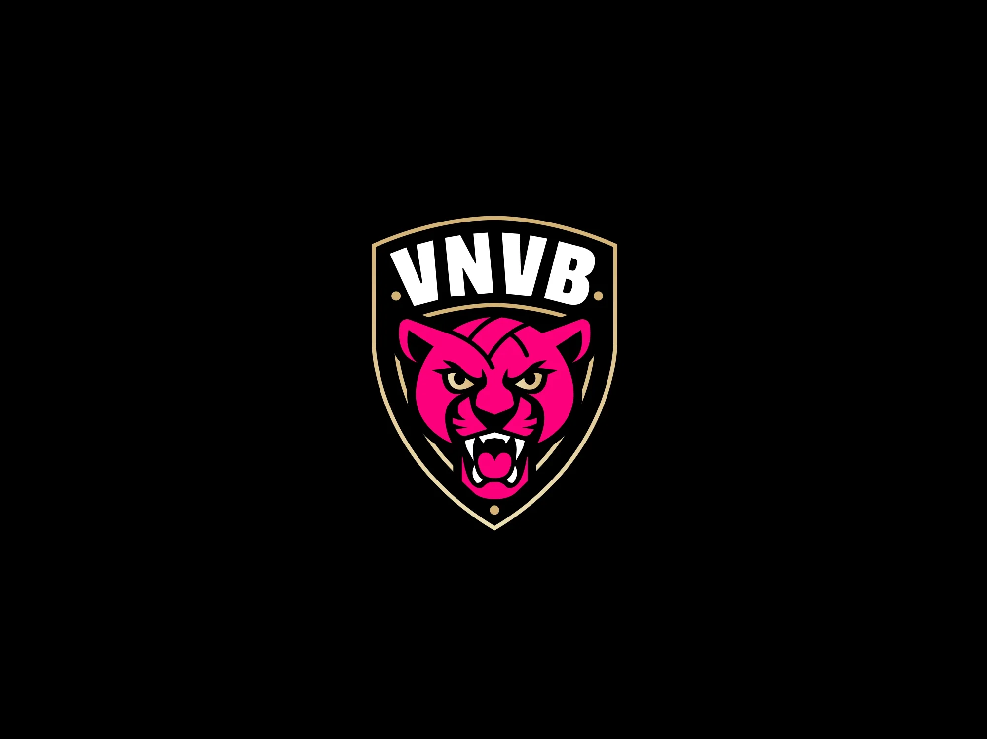 Logo officiel VNVB représentant une panthère rose stylisée sur fond noir, élément central de l’identité visuelle du club