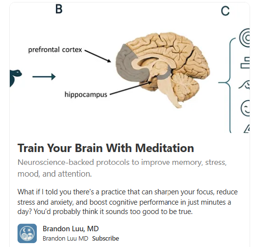 Diagram of the brain highlighting the prefrontal cortex and hippocampus