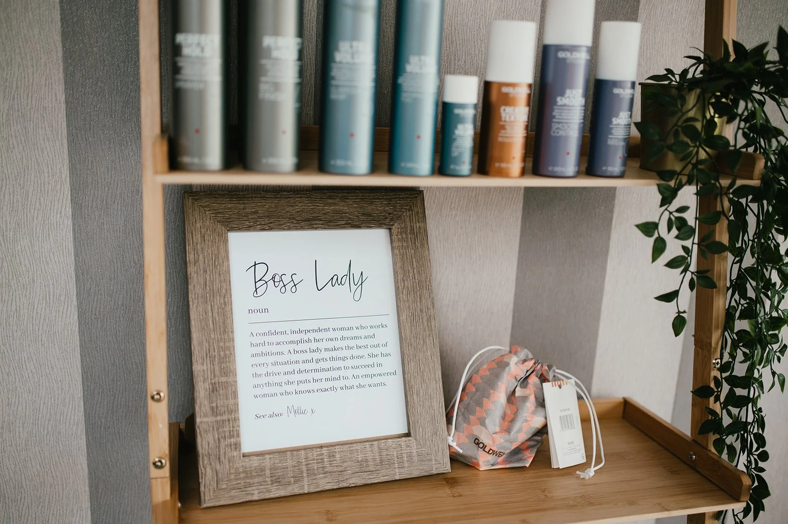 A wooden shelf with a framed sign that reads 'Boss Lady' and a description, a colorful drawstring bag, and some leafy green plants. The top shelf holds a row of variously colored cans or bottles.