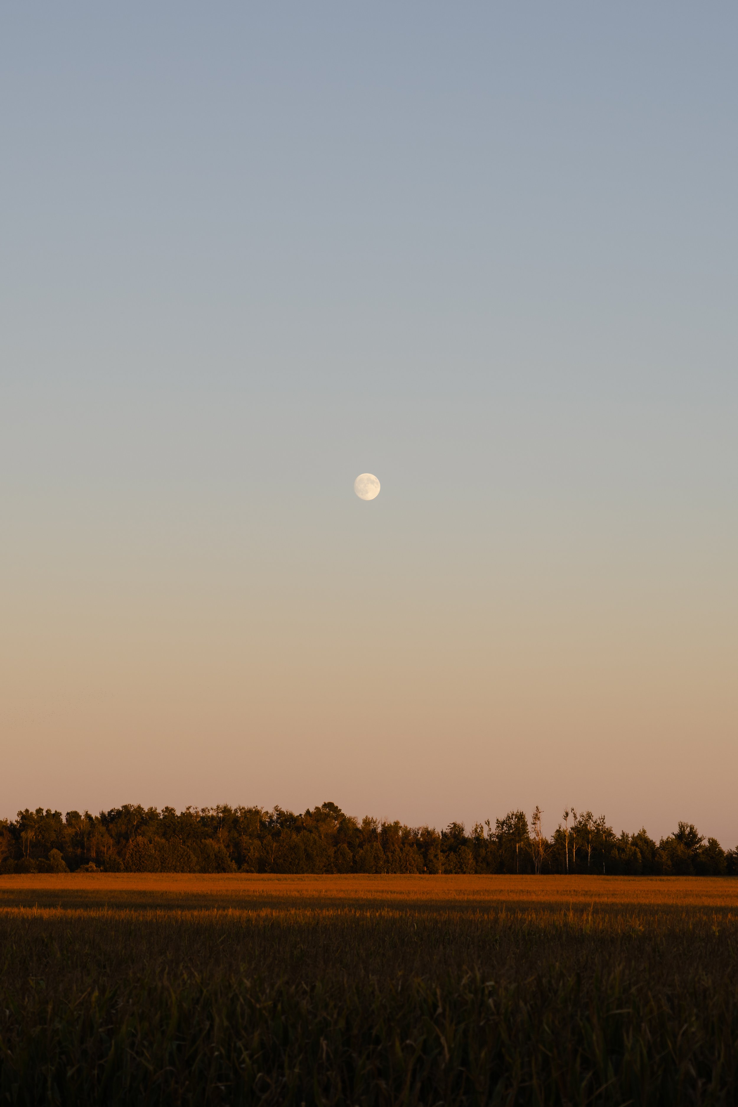 _R0A9189.jpg