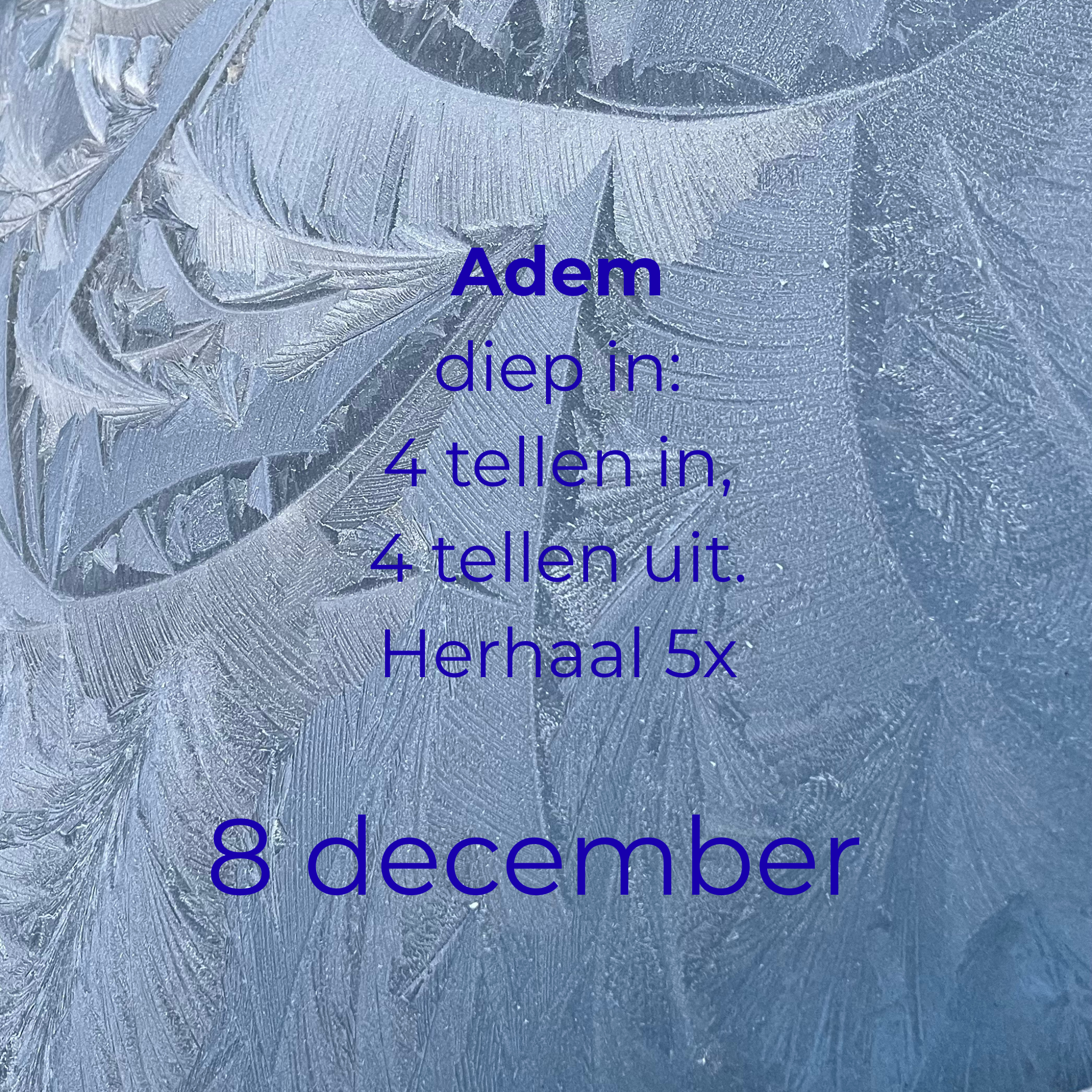 Adem diep in: 4 tellen in, 4 tellen uit. Herhaal 5x.