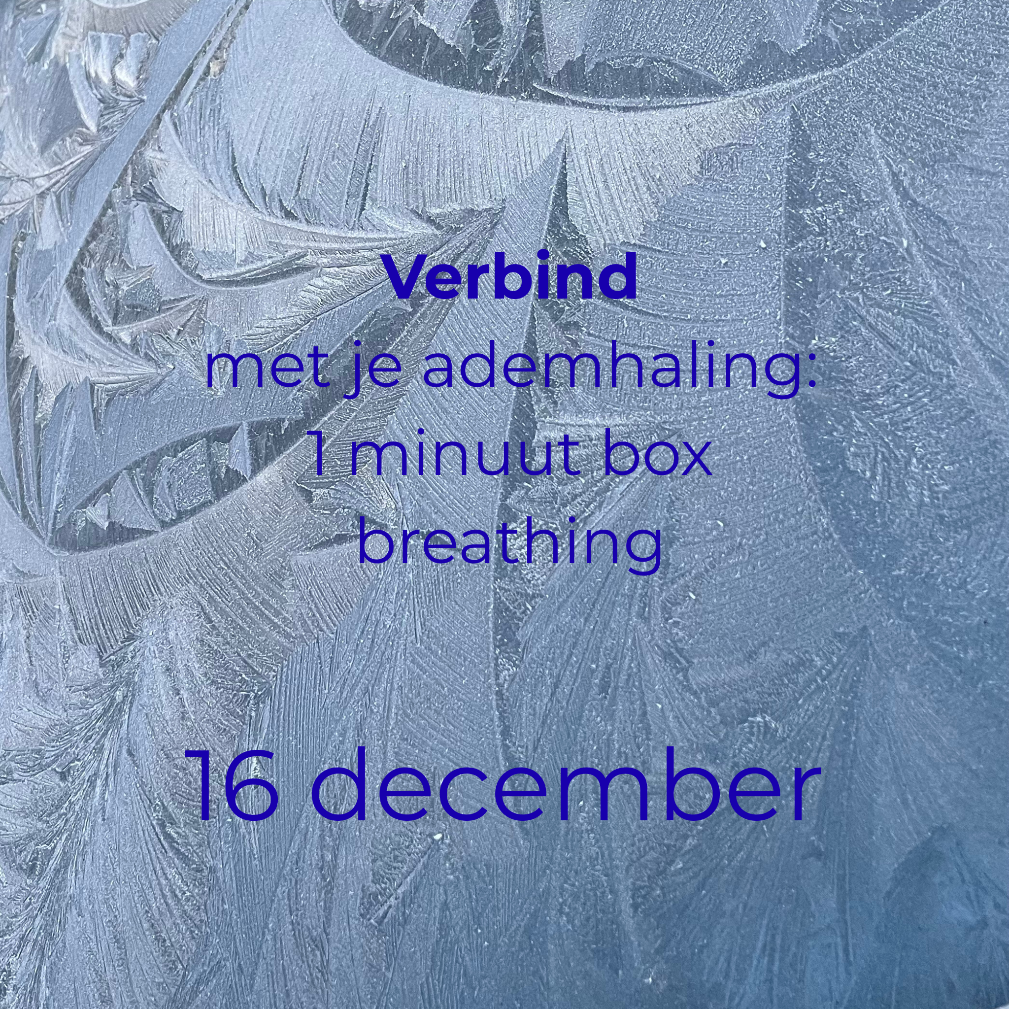 Verbind met je ademhaling: 1 minuut box breathing.