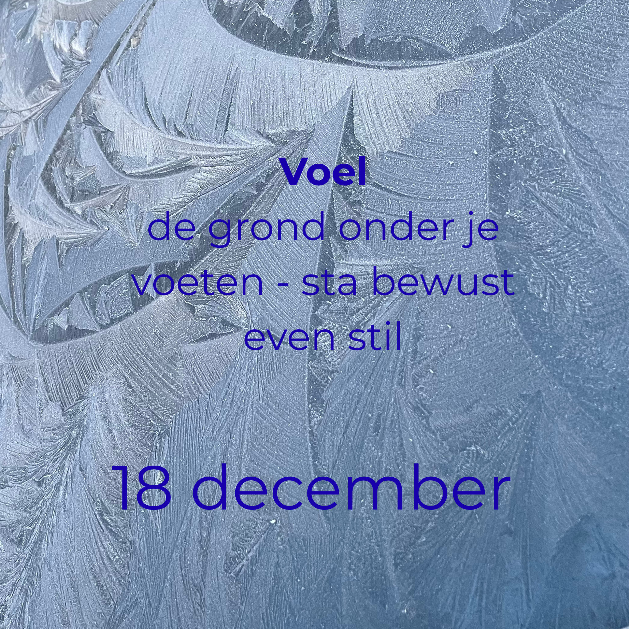 Voel de grond onder je voeten—sta even bewust stil.