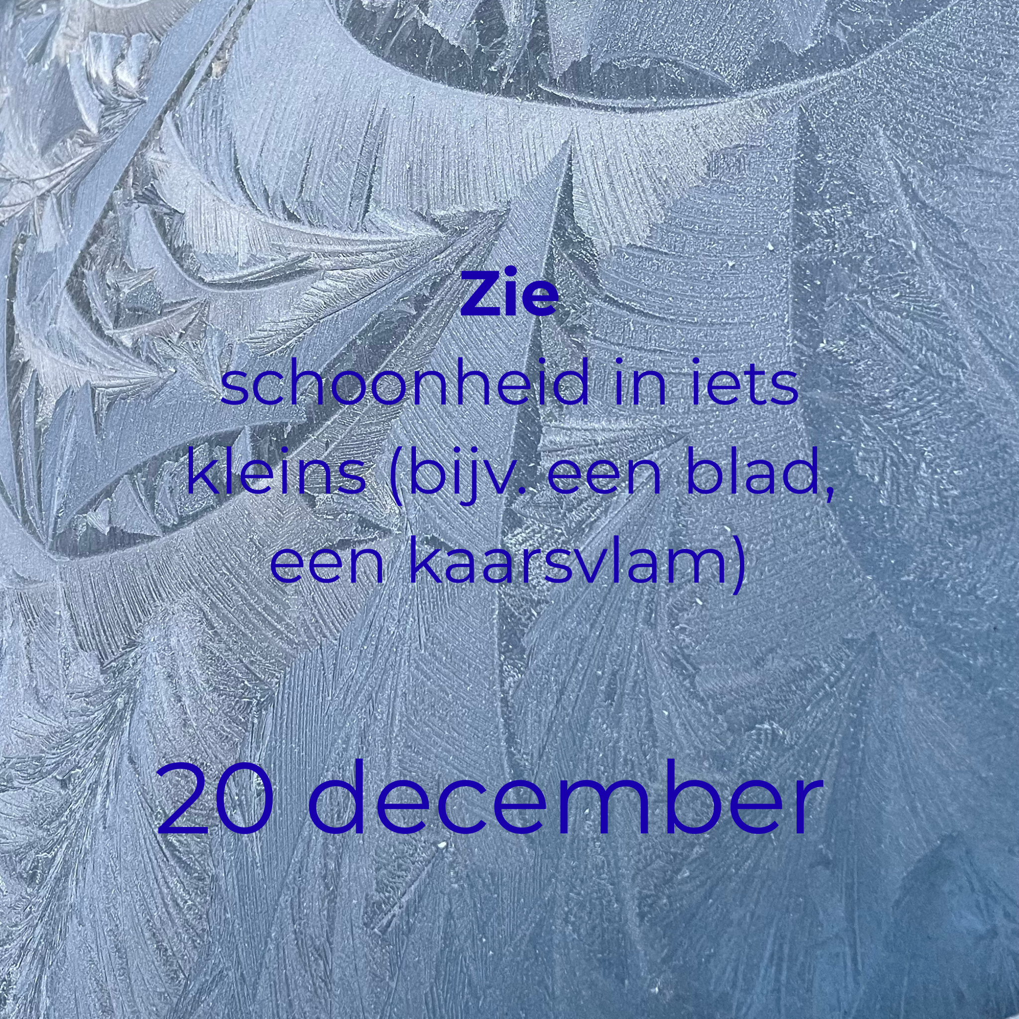 Zie schoonheid in iets kleins (bijv. een blad, een kaarsvlam)