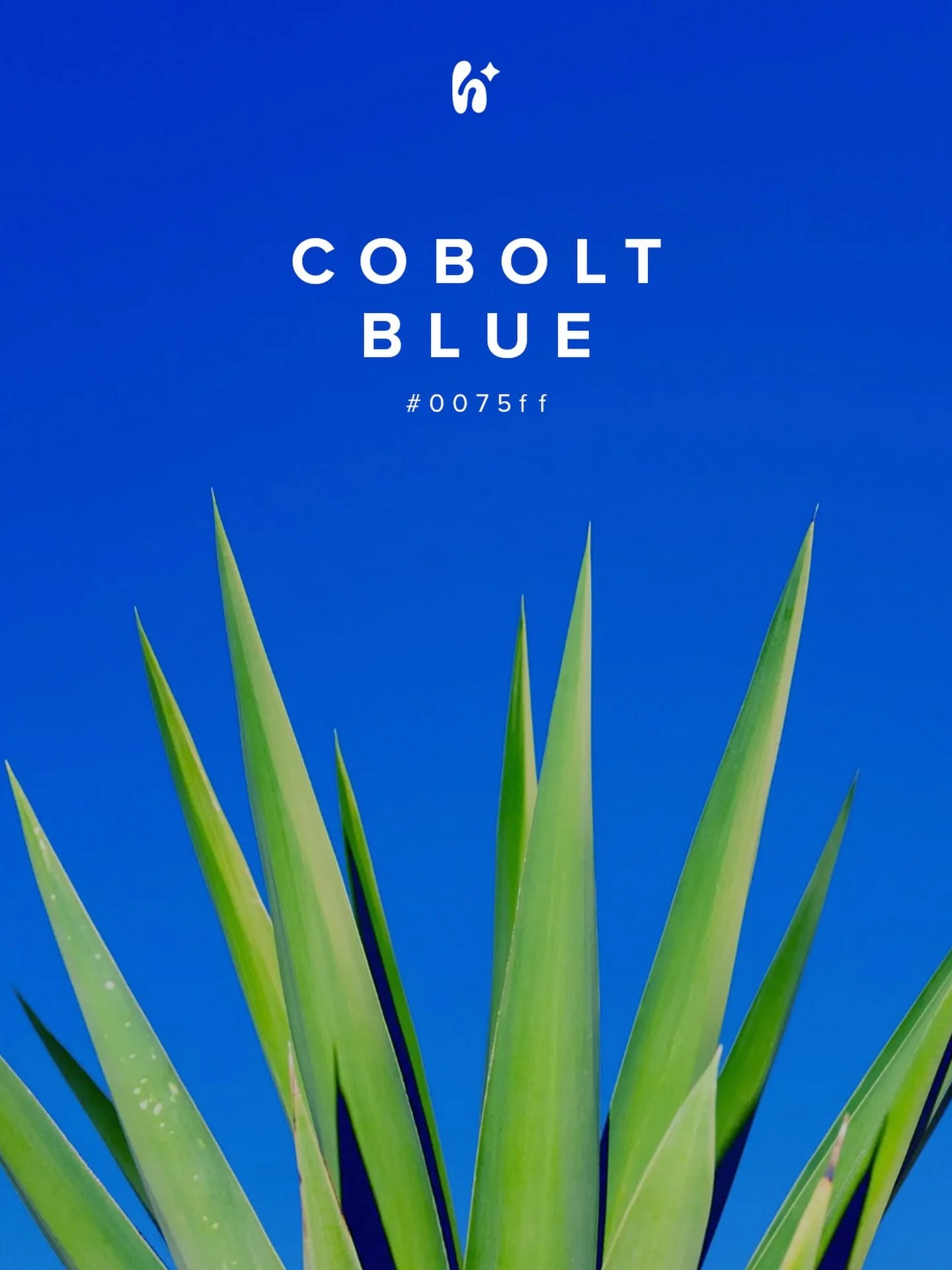 H U E // N O T E S 💙 [ c o b a l t ]

Cobalt carries ambition, clarity, confidence, and momentum. It&rsquo;s a color that creates excitement through possibility rather than urgency. The color blue paired with this level of brightness creates a color