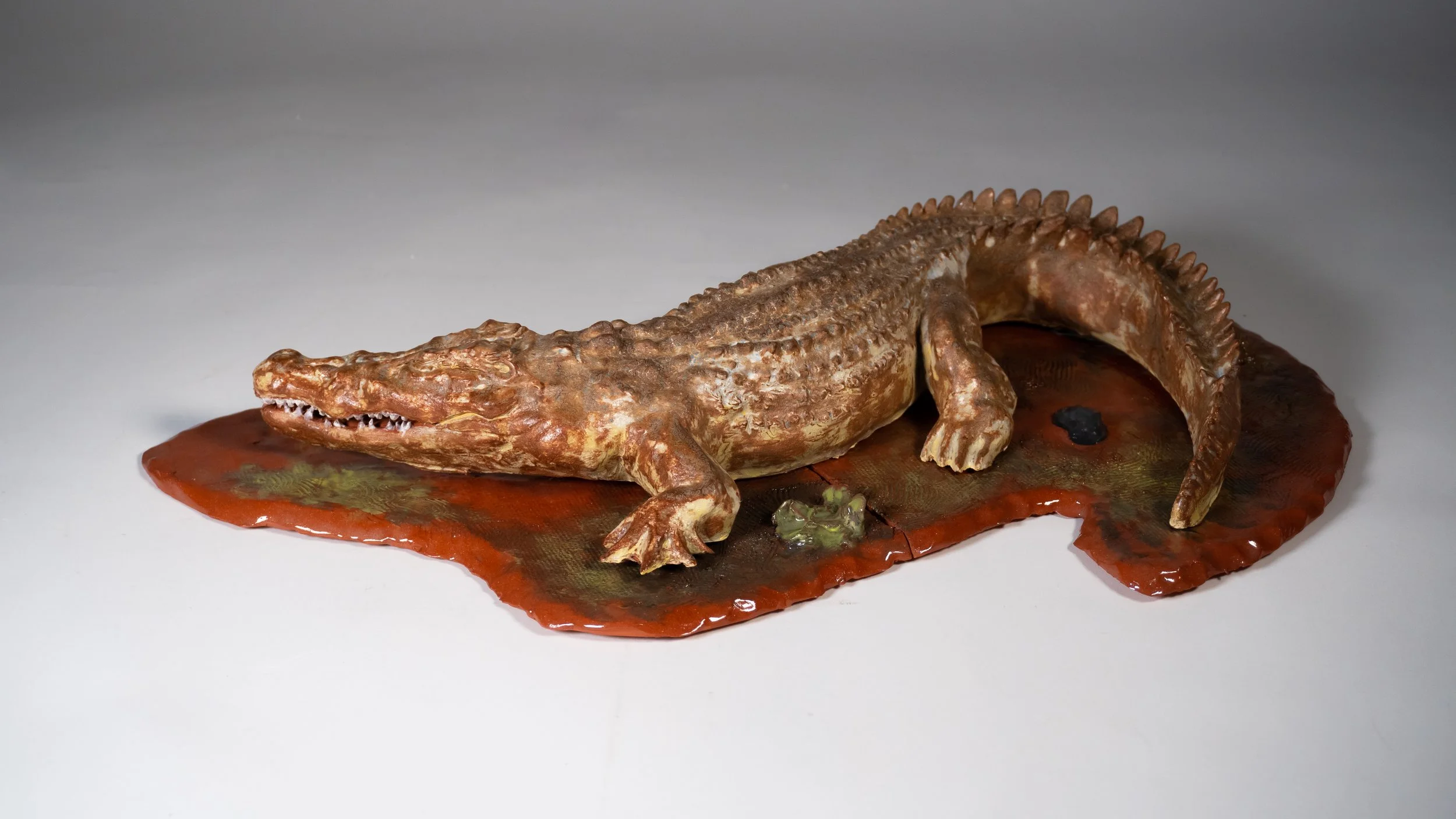 "Nile Crocodile",
(In enviornment) platform piece,
glazed terracotta ceramic,
19" X 11.5" X 3.25",
2026
