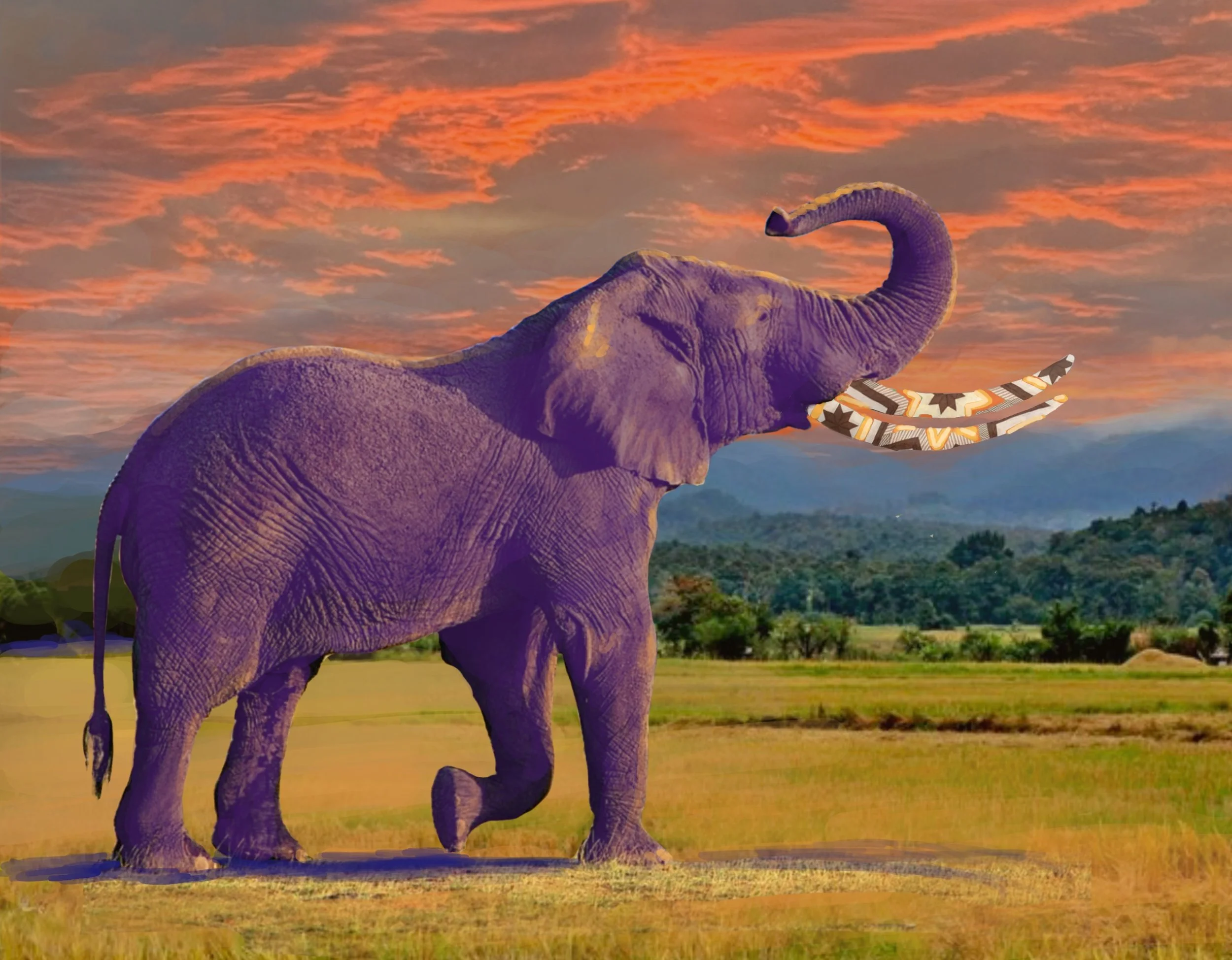 "Distinction through Vitality", Digital Collage, 2025