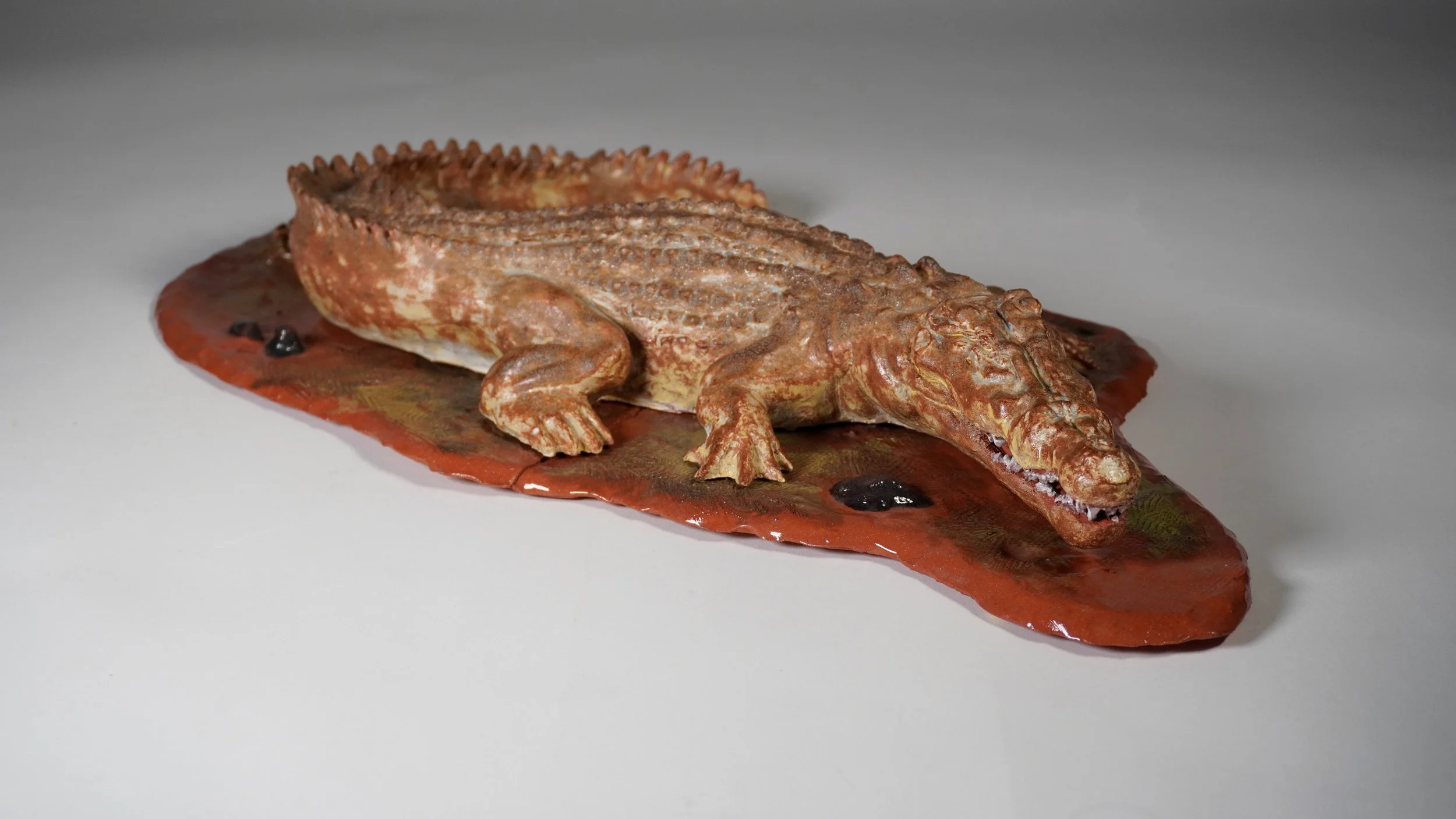 "Nile Crocodile",
(In enviornment) platform piece,
glazed terracotta ceramic,
19" X 11.5" X 3.25",
2026