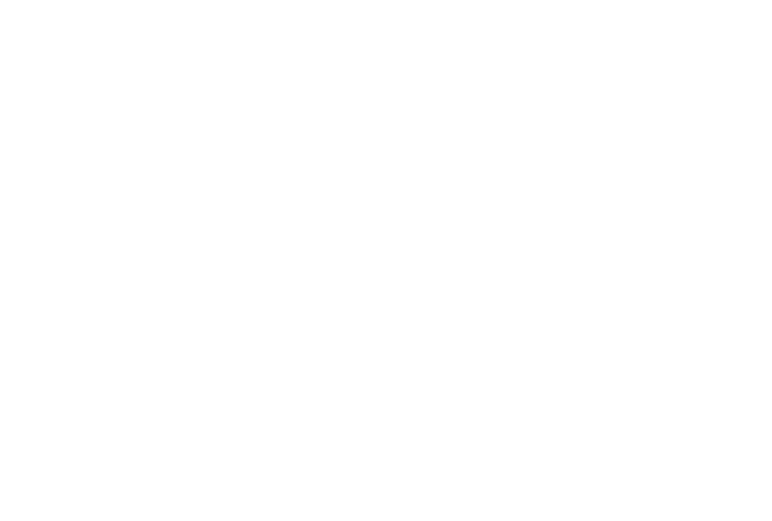 NFF56-Semifinalist Screenwriting Competition-white (1) (1).png