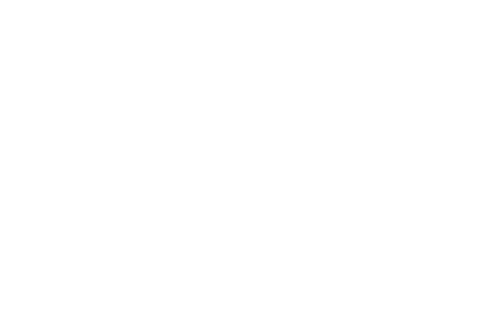 OFFICIAL SELECTION - Montreal Independent Film Festival - 2024.png