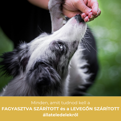 Jobbak -e mint a kutyatáp: a fagyasztva szárított és a levegőn szárított eledelekről