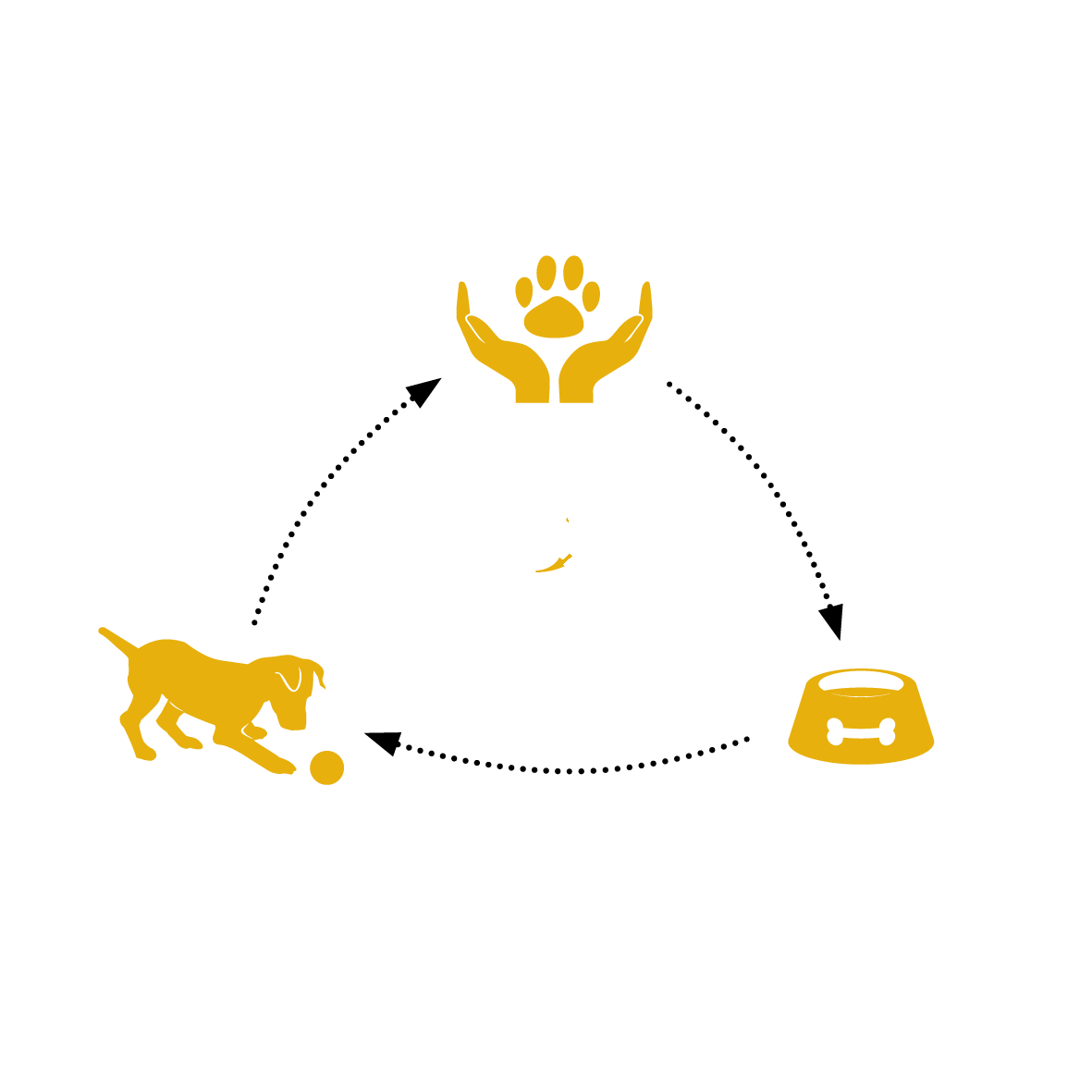 The 3 foundational pillars of canine health