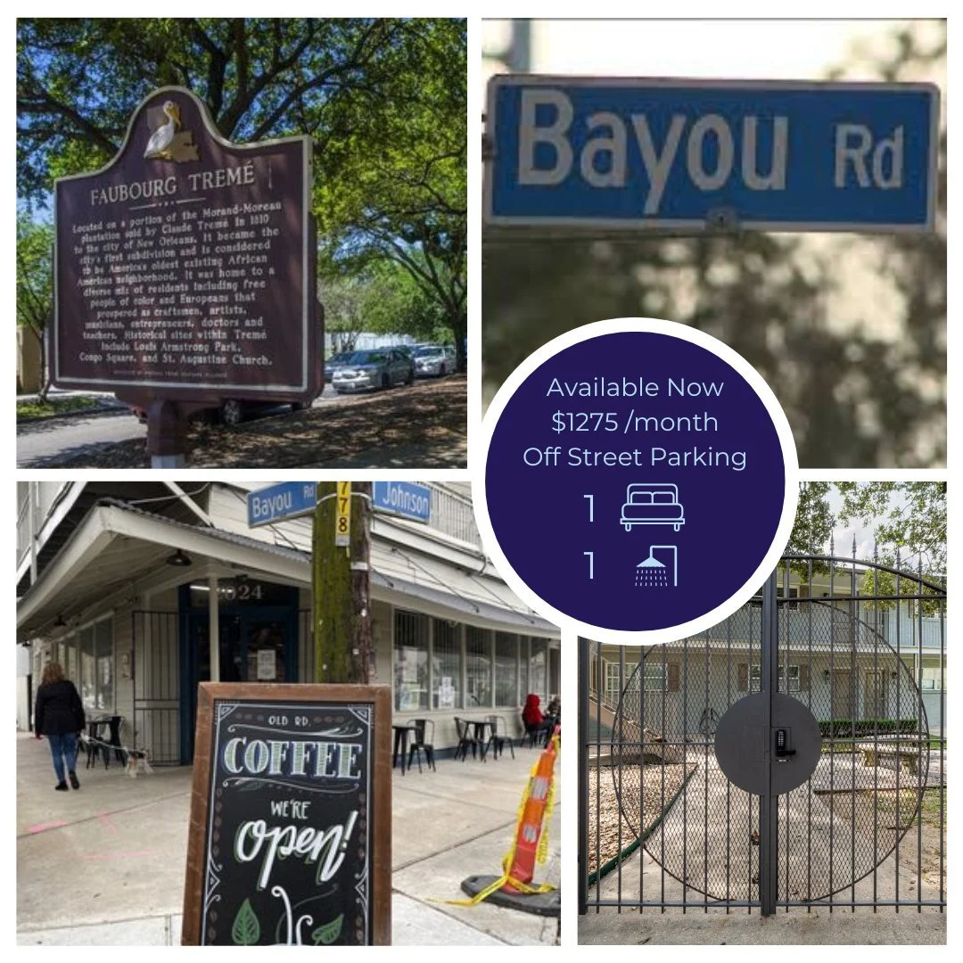 2110 Bayou Rd
New Orleans, LA 70116

Updated Finishes
Gated Building
Off Street Parking

www.nola4rent.com
