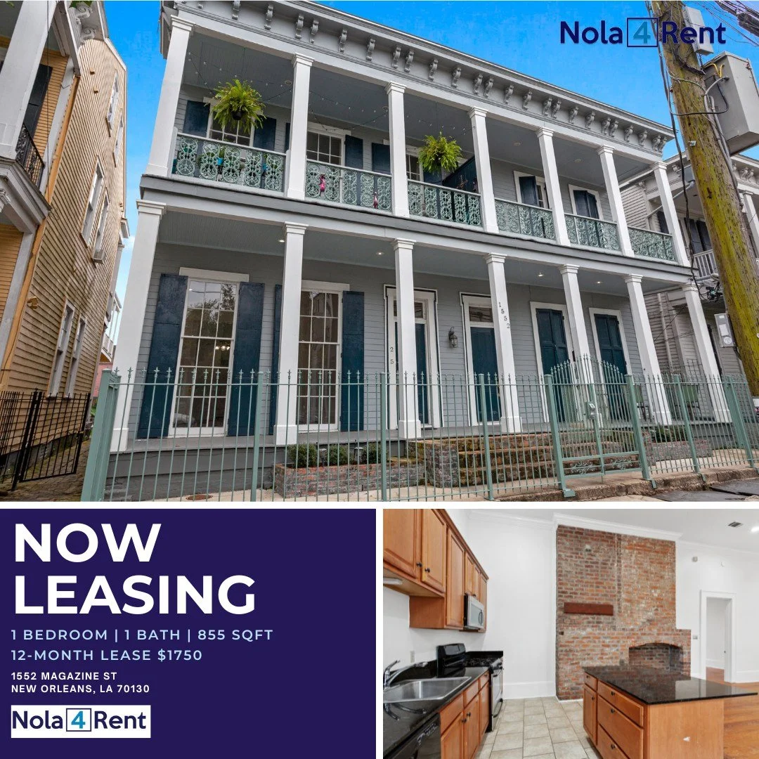 On Magazine in the heart of the LGD

1552 Magazine St Unit 3
New Orleans, LA 70130
1 Bed / 1 Bath
855 Sq. Ft.

Learn More and Schedule a Tour today!
www.nola4rent.com

 #NewOrleansRentals #neworleansrealestate #NowLeasing #nolarentals🏠🏢🏠 #YourNext