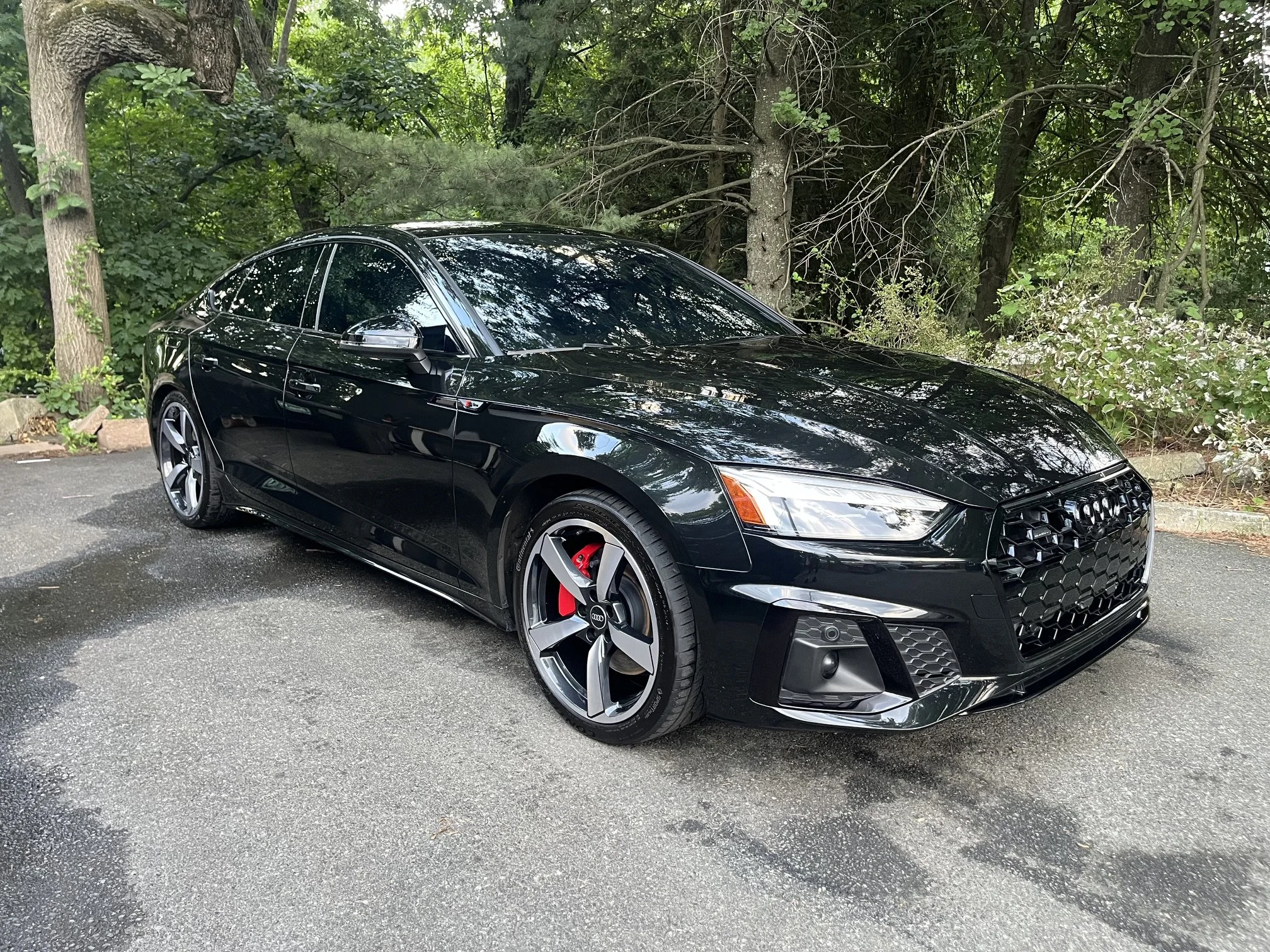 Audi S5.jpeg