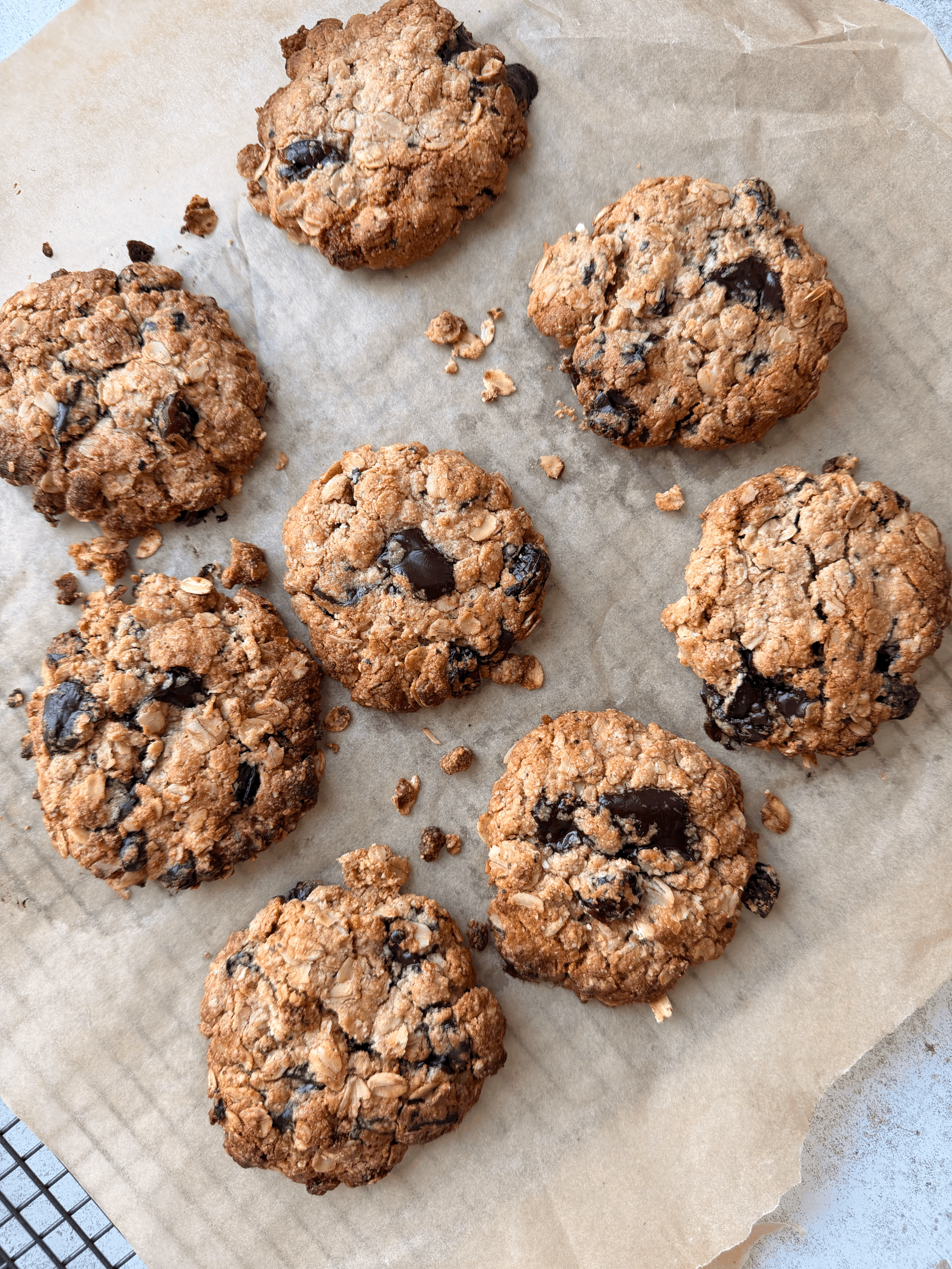 Chocolate Chip and Cranberry Oaty Cookies
