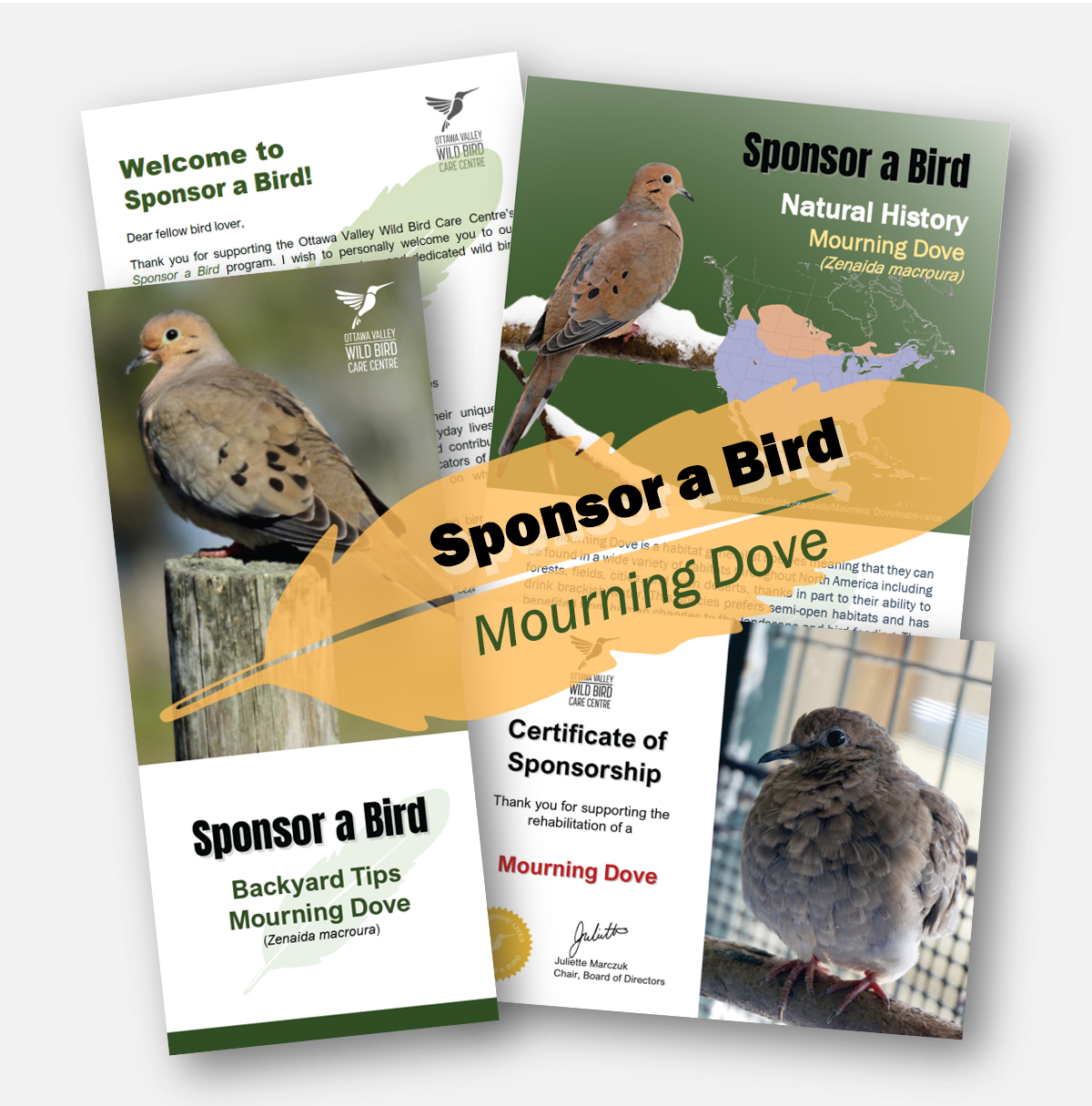 Square Ad - Mourning Dove.png