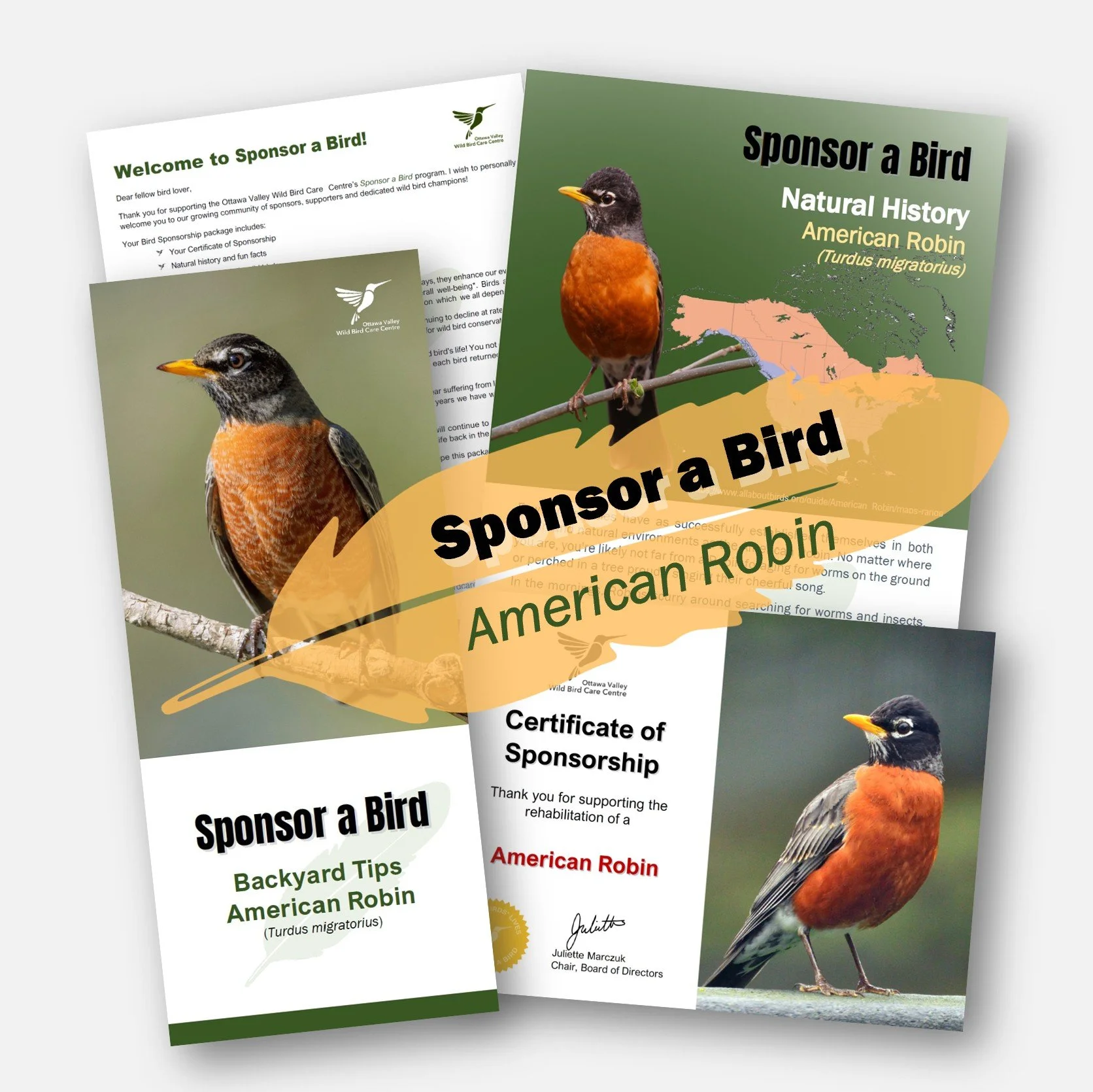 Square Ad - Robin.jpg