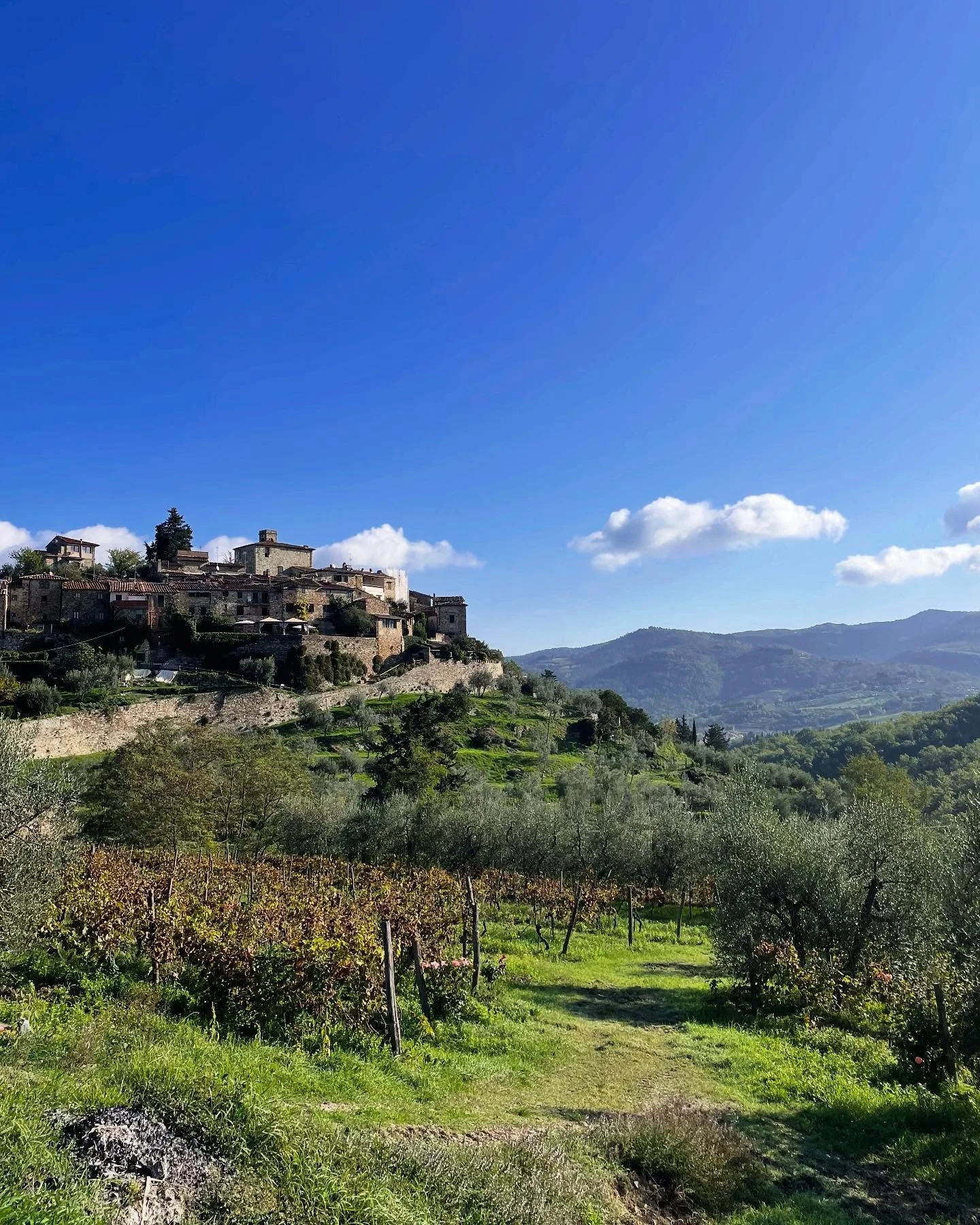 The view. The vines. Can I just stay here in Greve? 🇮🇹
#GreveInChianti #TuscanyViews #SlowTravel #CascoTravel #TravelWithCasco #VineyardVibes #ItalyTravel #TravelDeeper #ChiantiClassico #SmallGroupTravel #WanderWithUs #MindfulTravel #TravelJoyfull