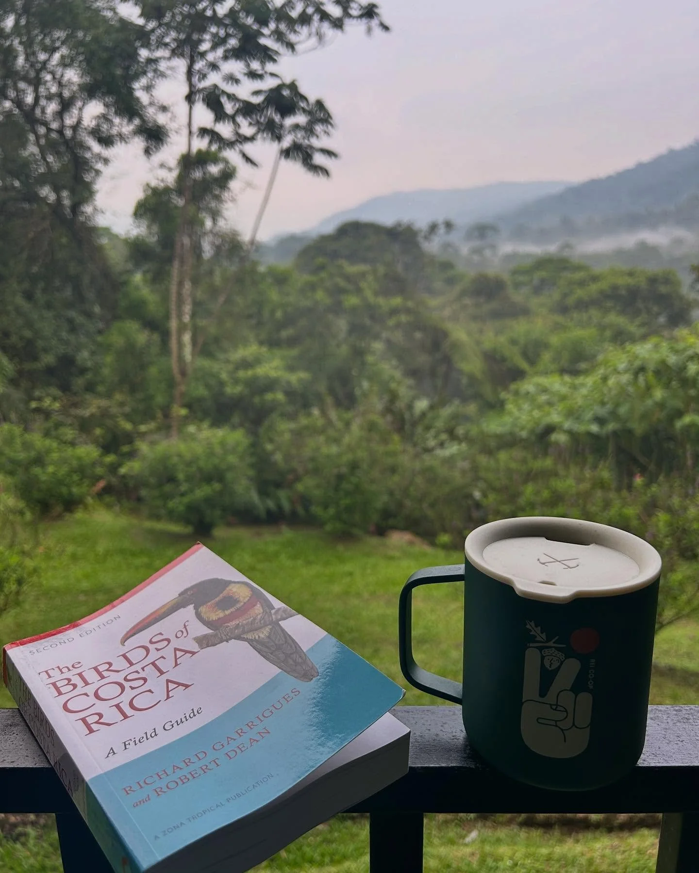 Dreaming of rainforest birdwatching with our morning coffee ☕️🦜🌳