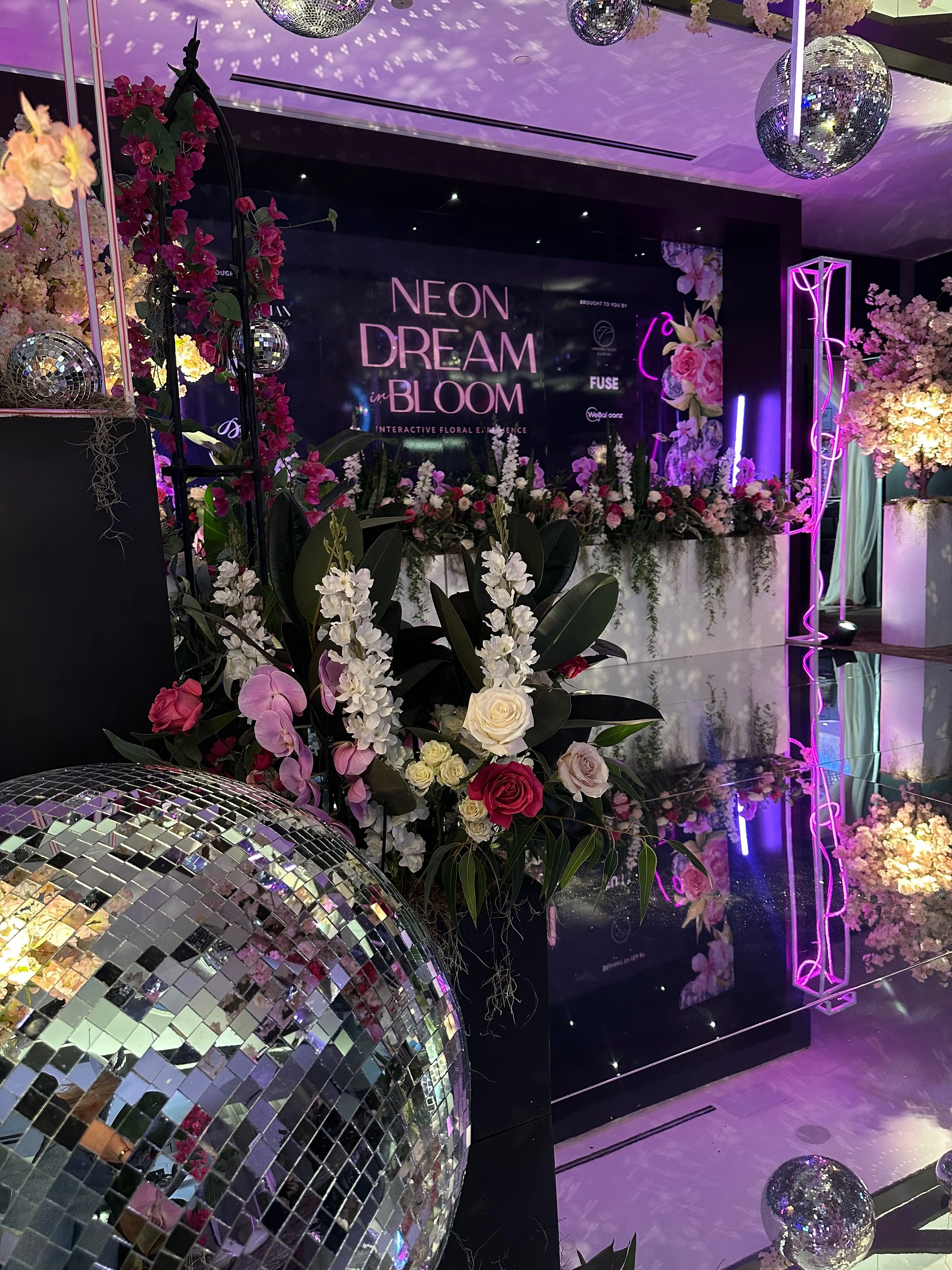 Copy of IMG_0971.jpeg