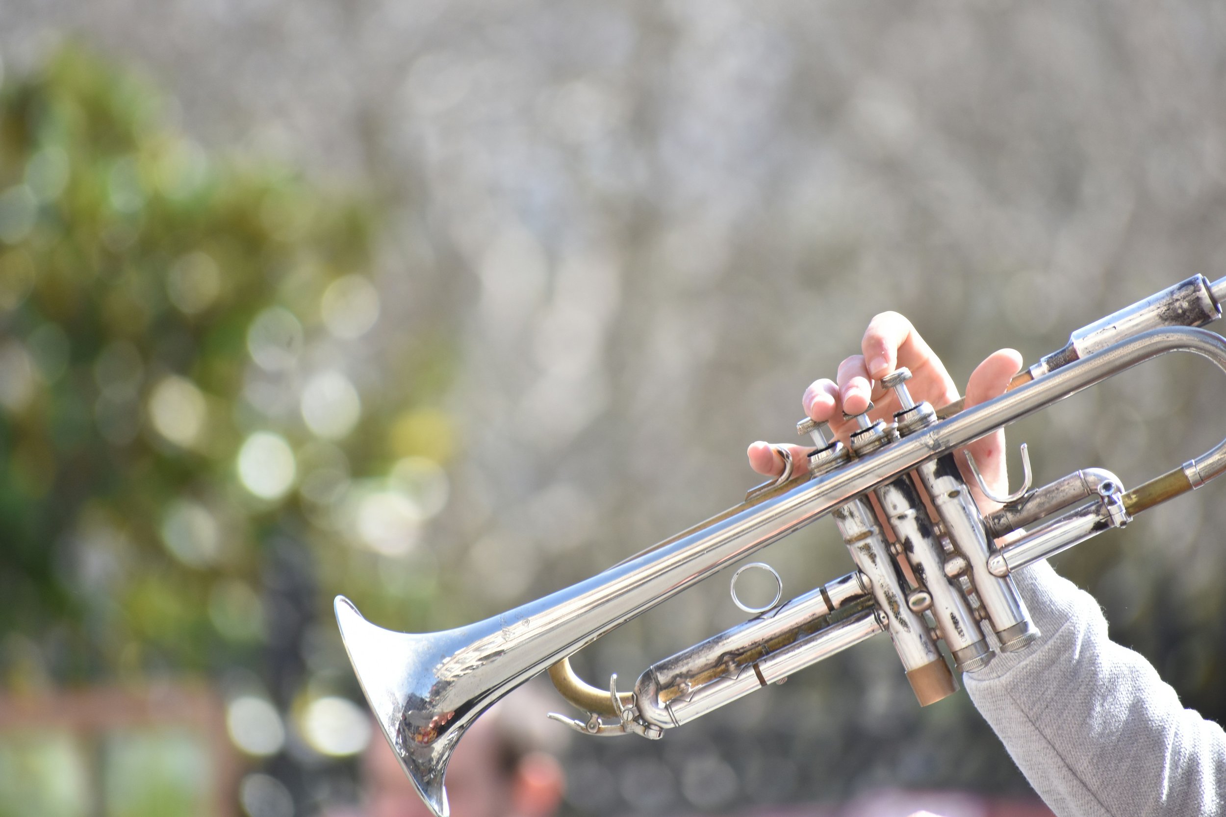Live Jazz &amp; Java