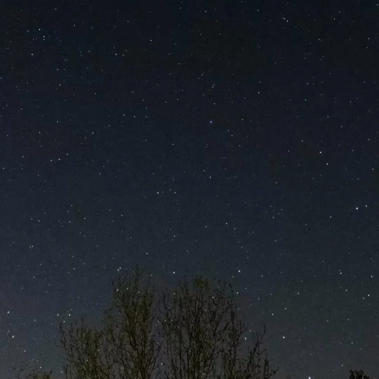 Perseid Meteors +  Soundbath at Satulah Mountain 