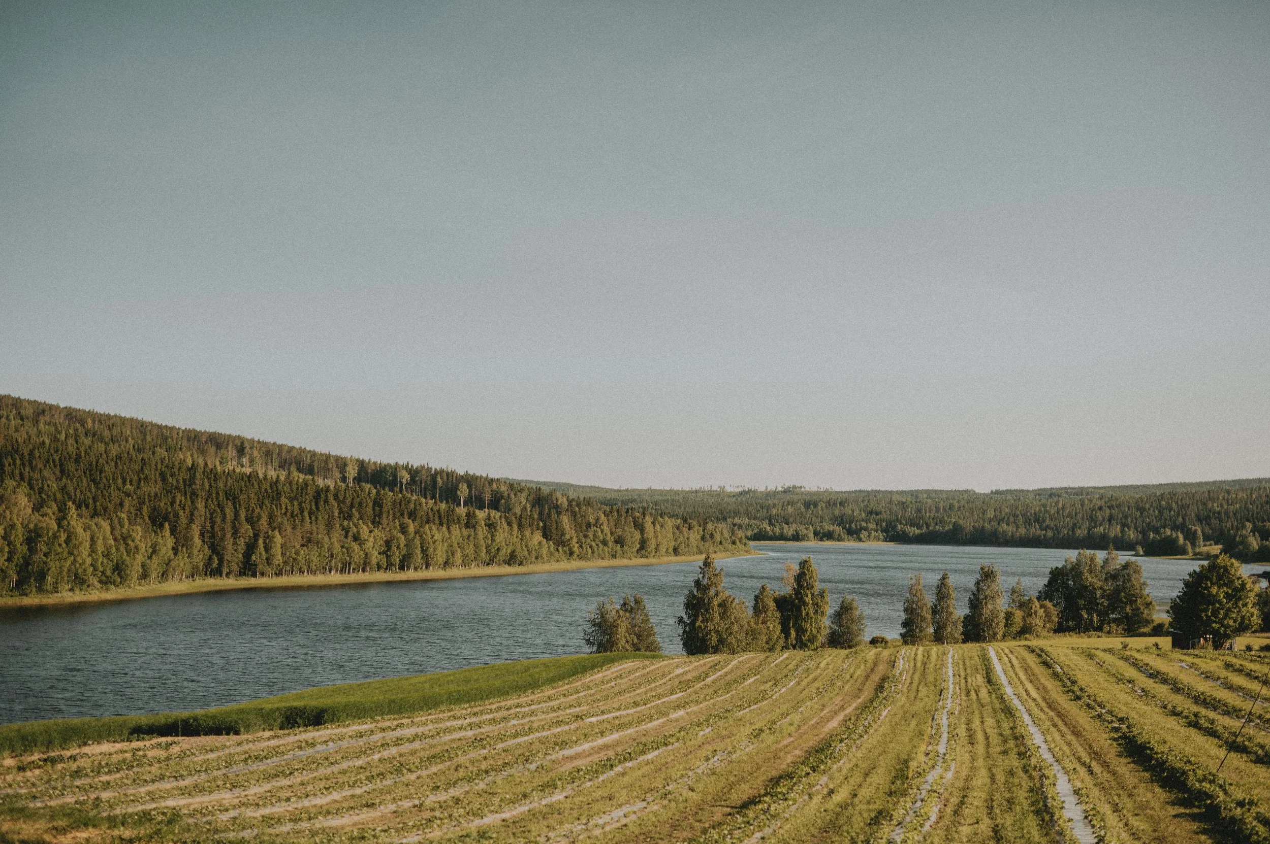 Landskapsvy av en sjö omgiven av skog och odlad mark i solsken.