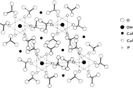Can You Reverse a Cavity? The Science Behind Fluoride and Hydroxyapatite