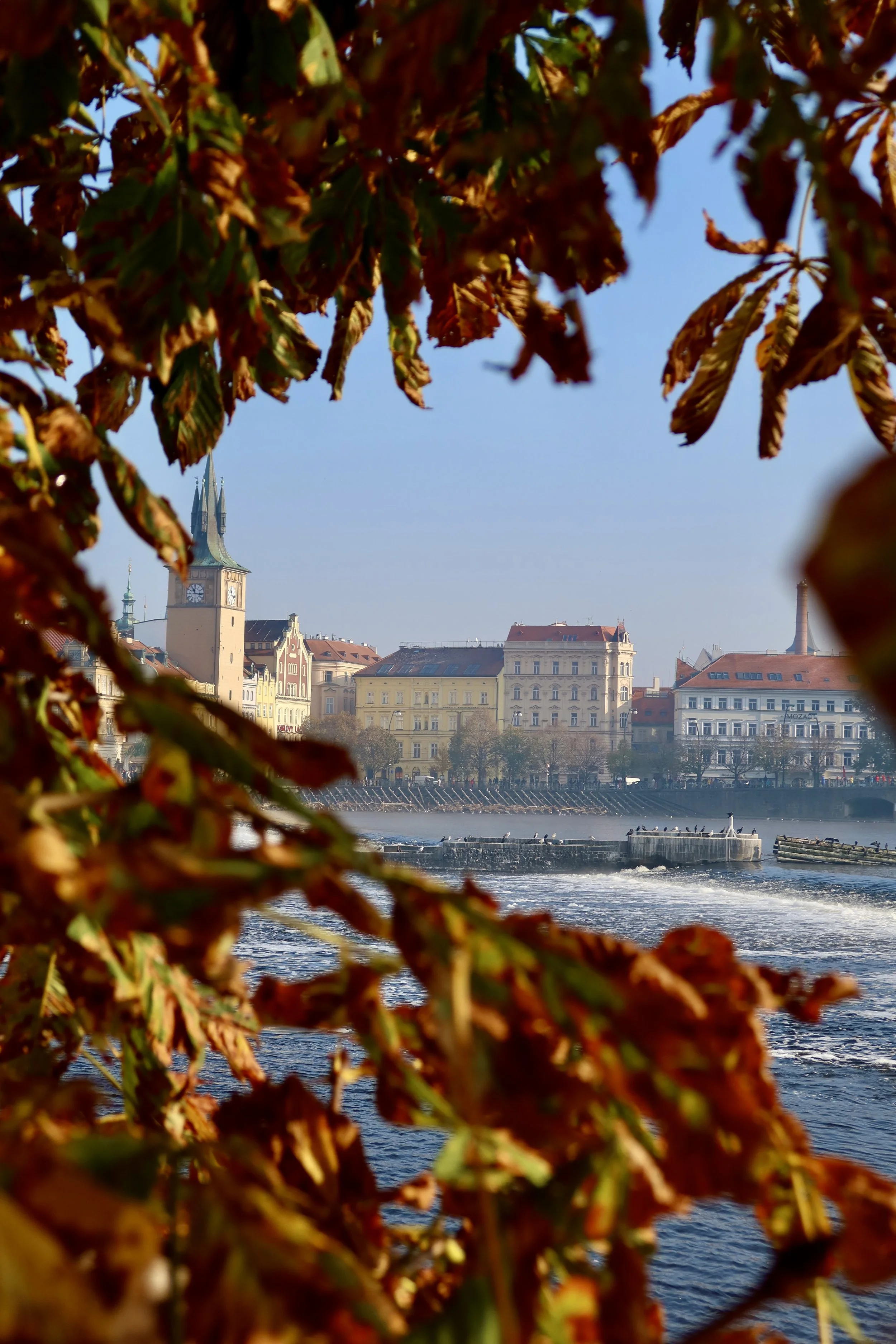 The Whispers of Europe