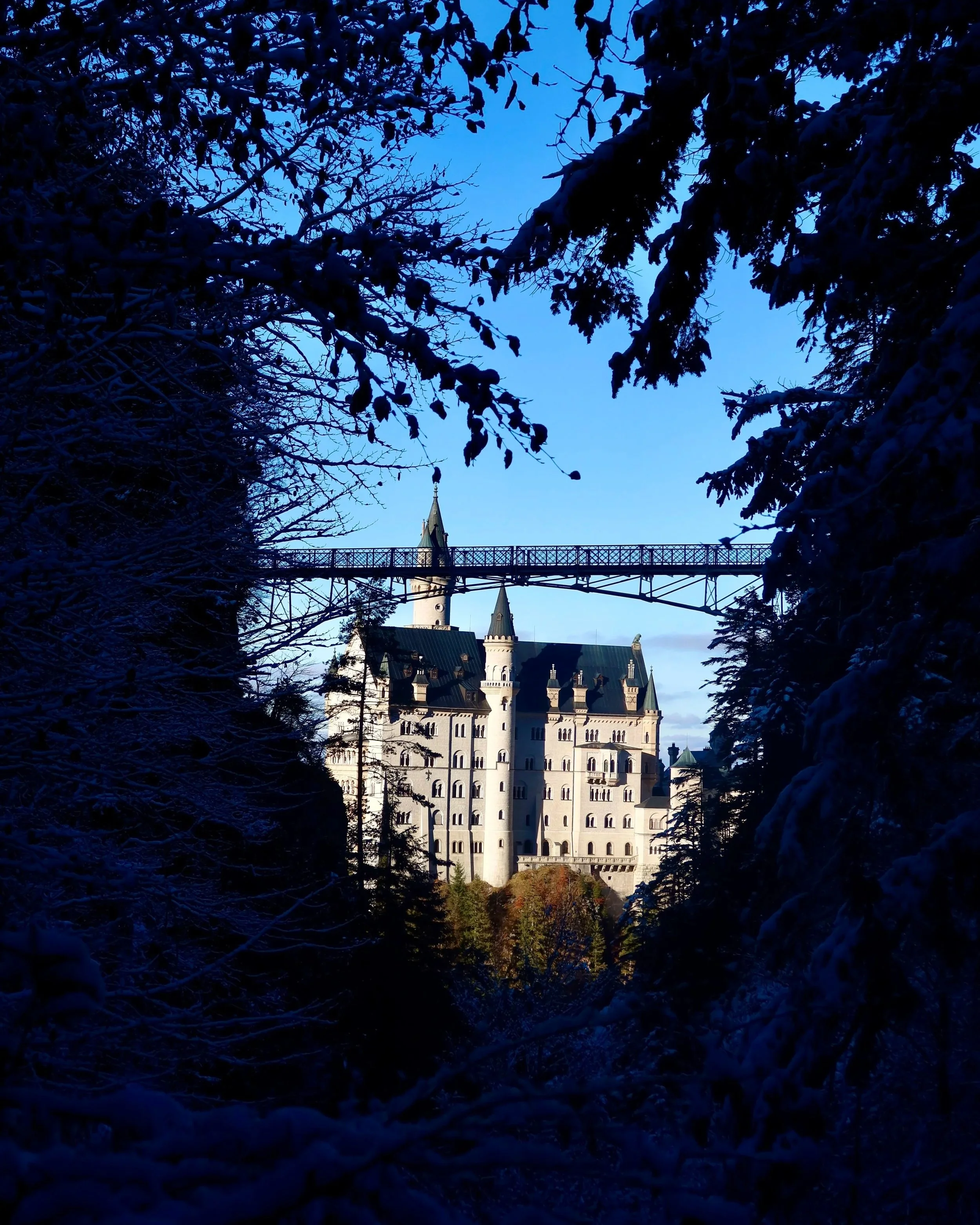 A castle with turrets seen through snow-covered tree branches against a clear blue sky.