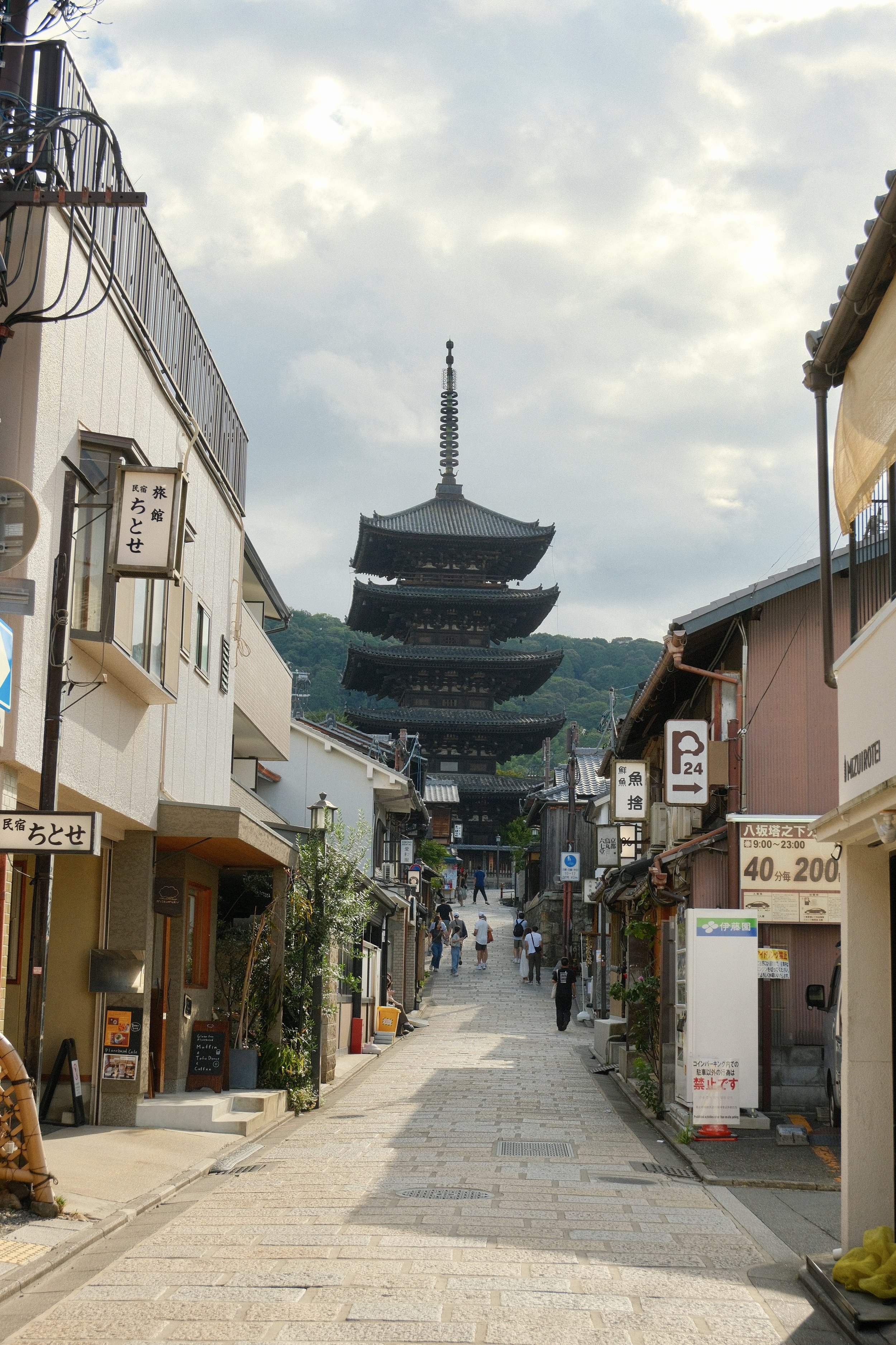 DSCF0280.jpg