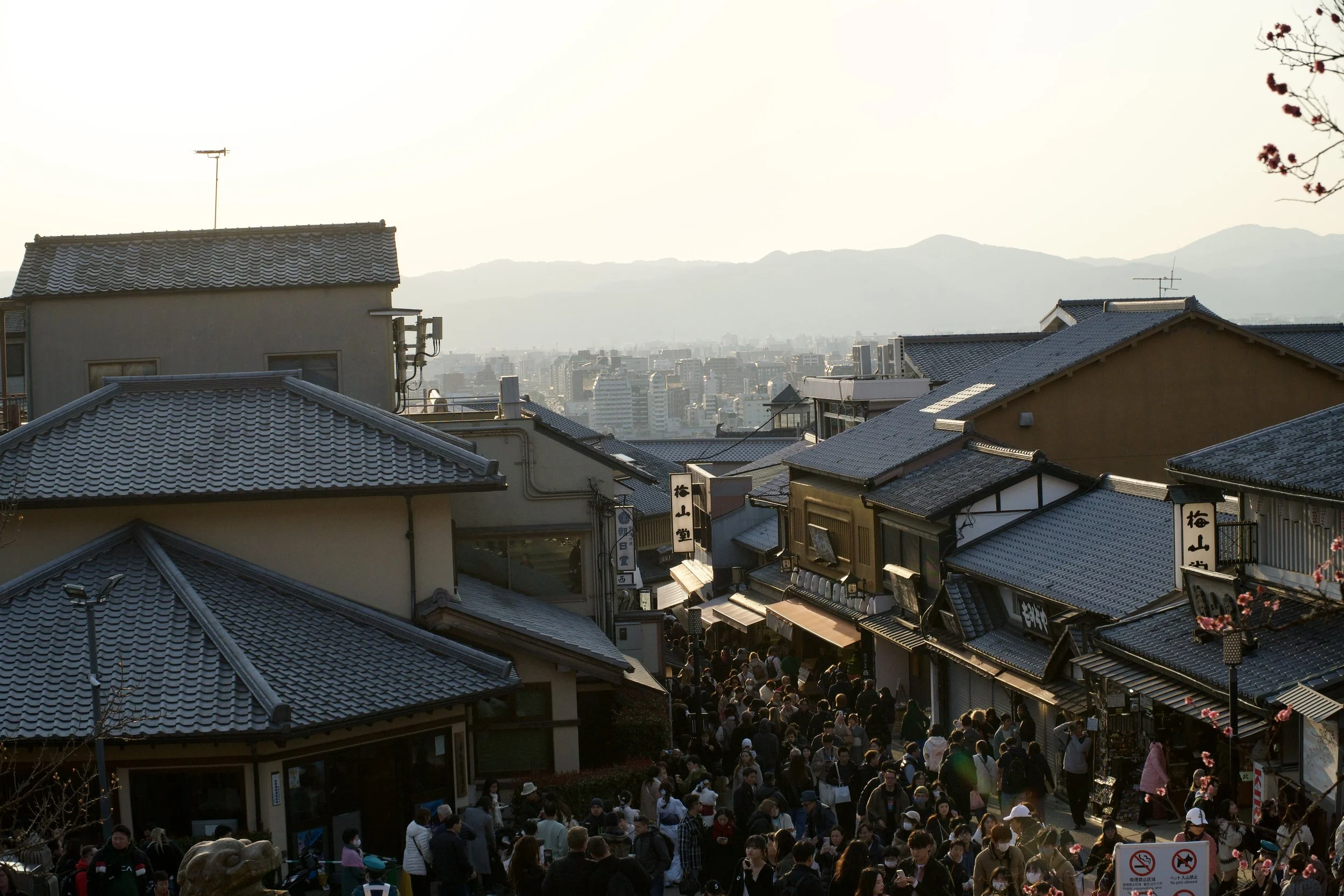 DSC02136.jpg