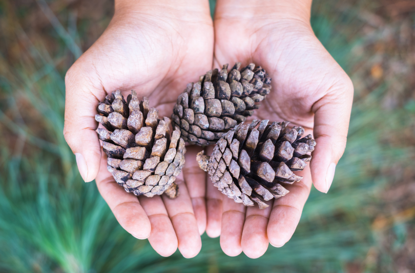 OT Evaluation- FULL EVAL