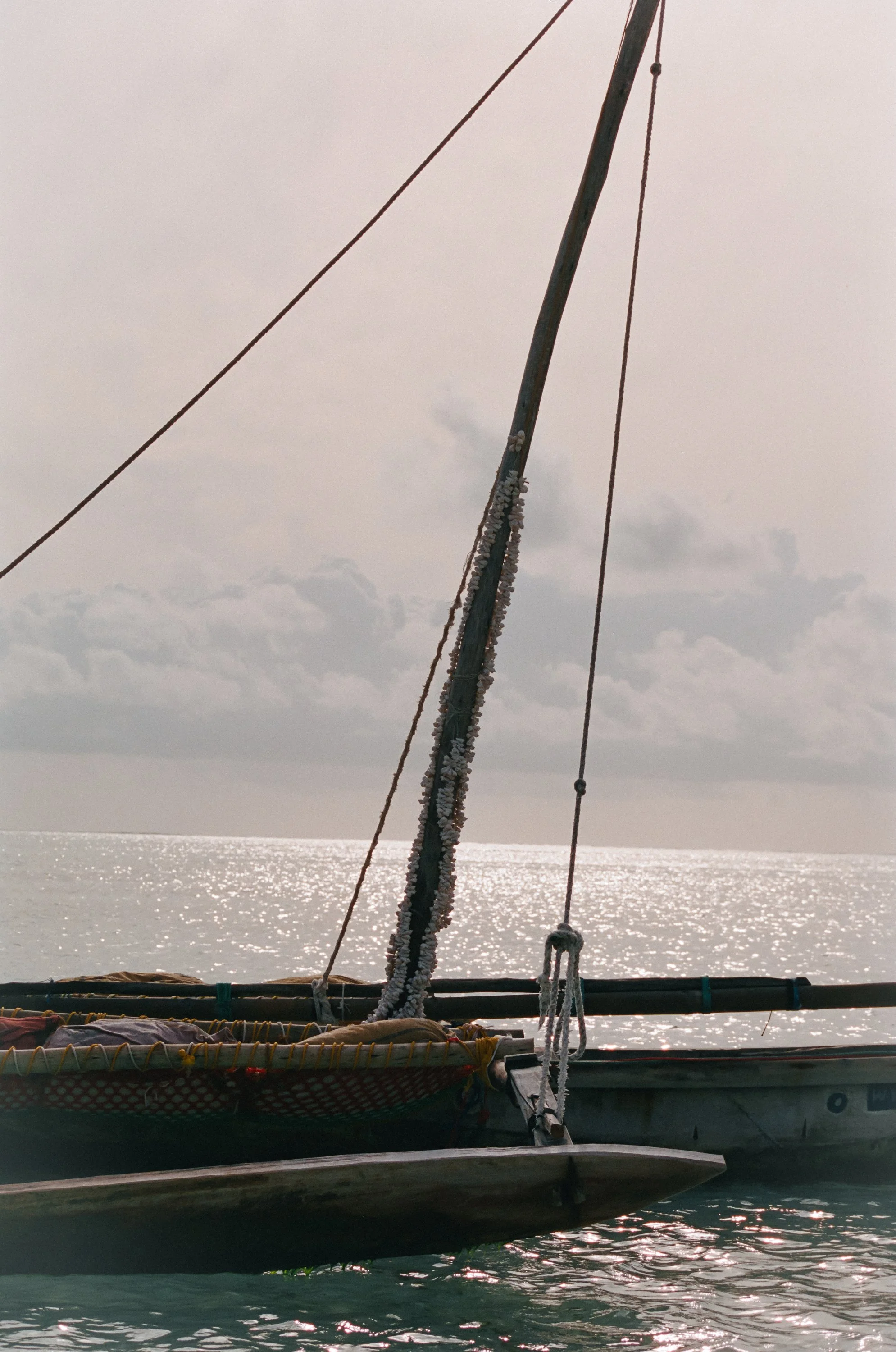zbar-3.jpg