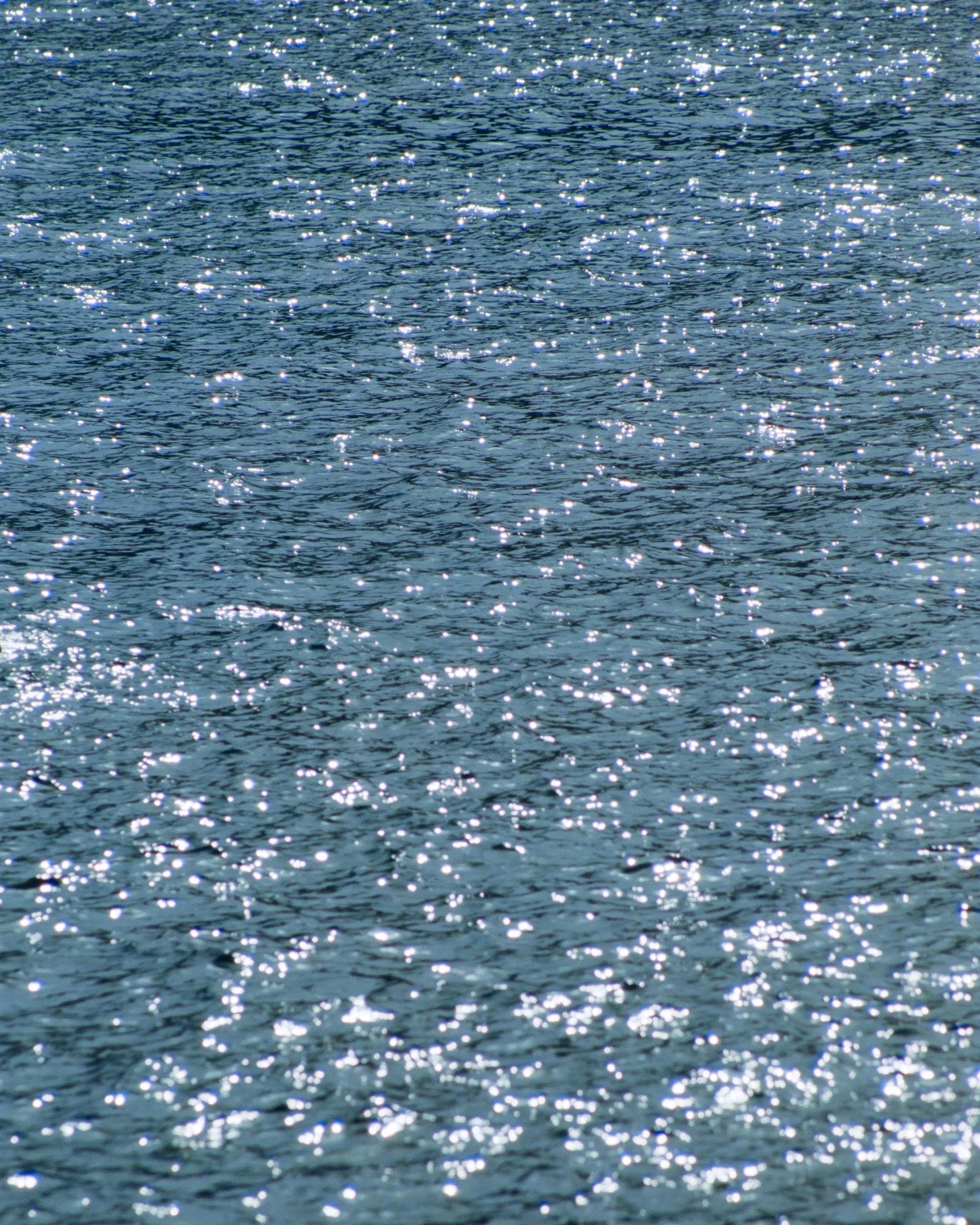 Untitled-19.jpg