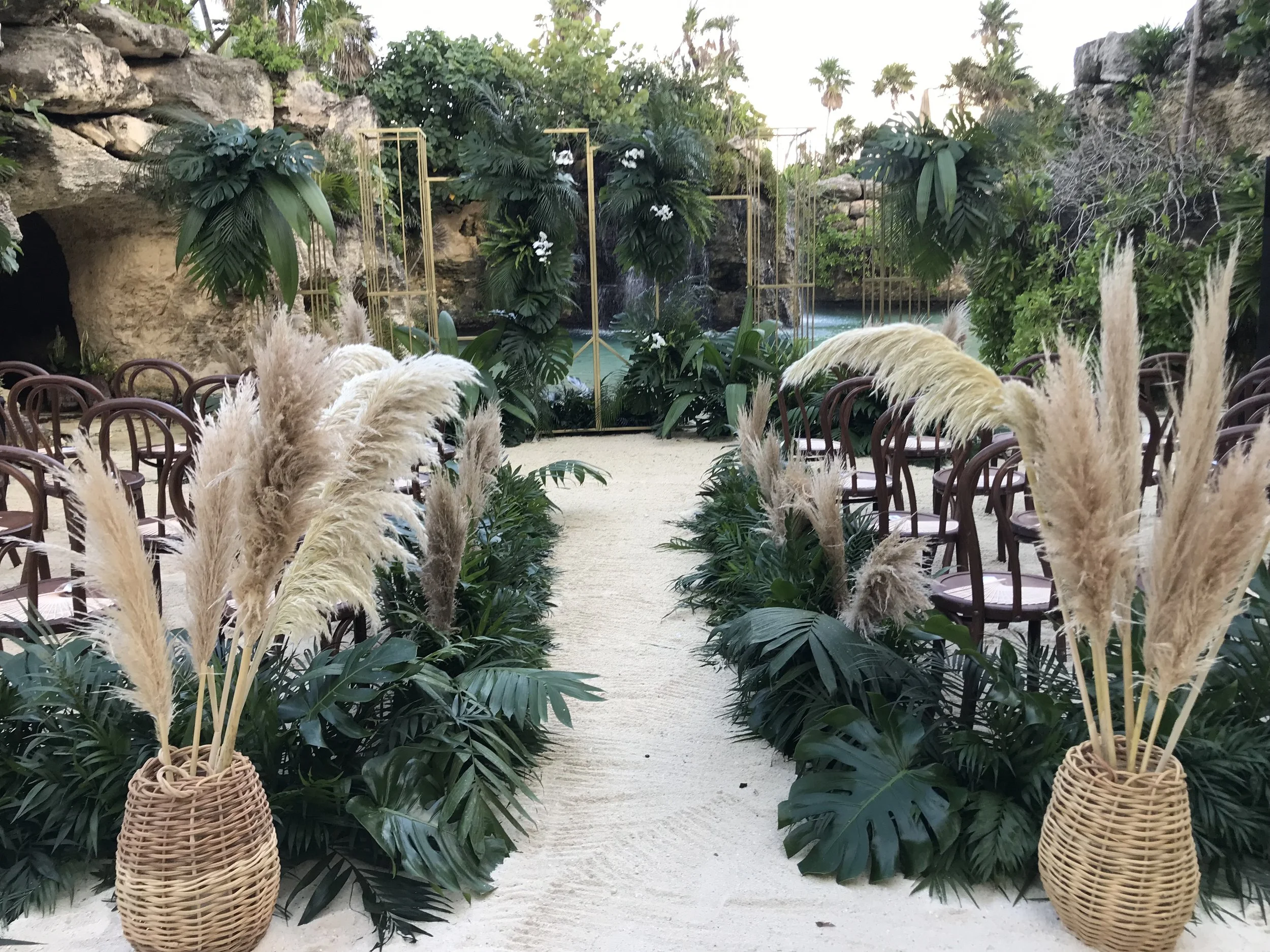 Pampas-mimbre.JPG