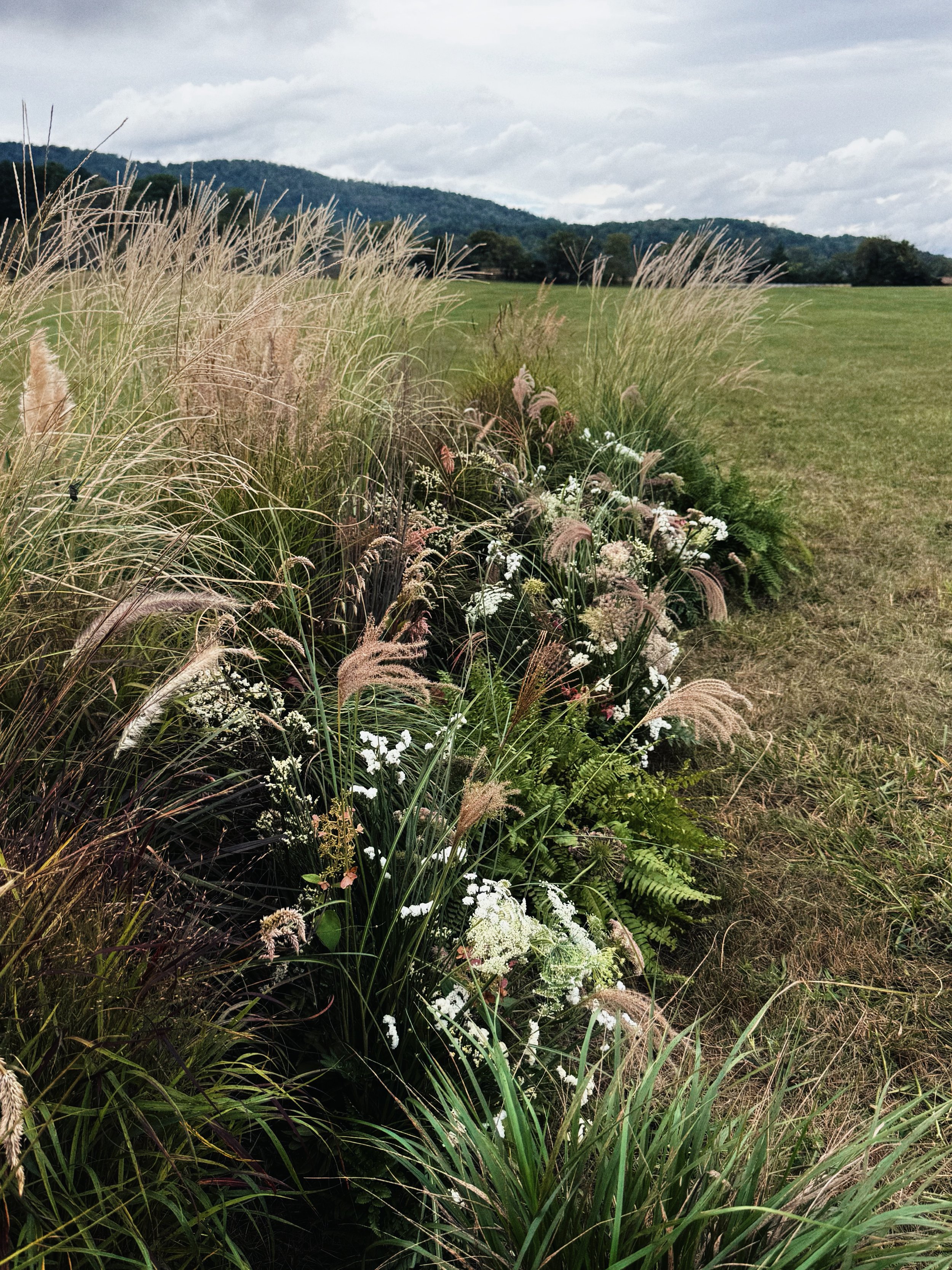 A row of ornamental grasses and wildflowers along a field with hills and a cloudy sky in the background.