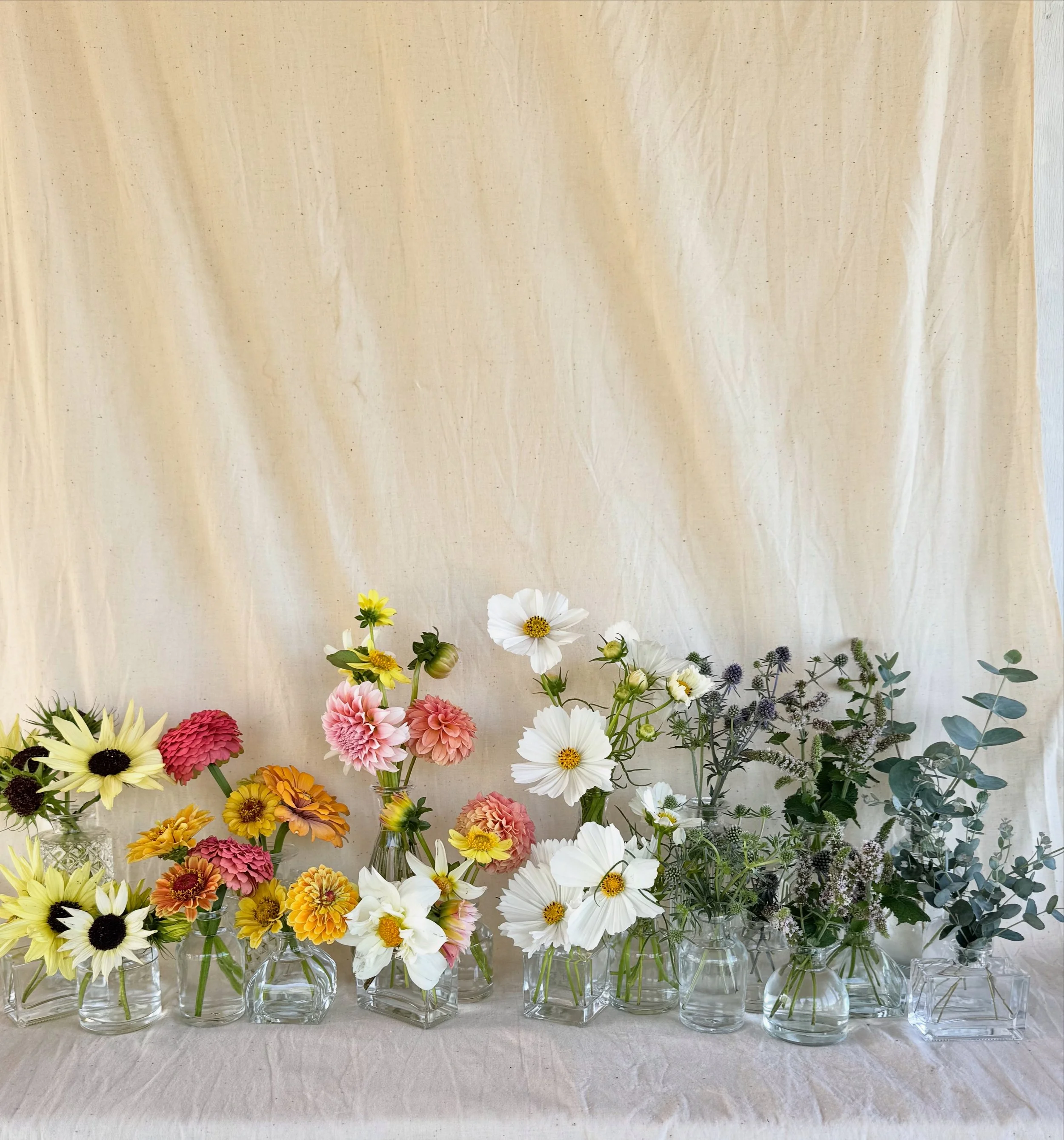 Various colorful flowers in glass vases on a table with a beige fabric backdrop.