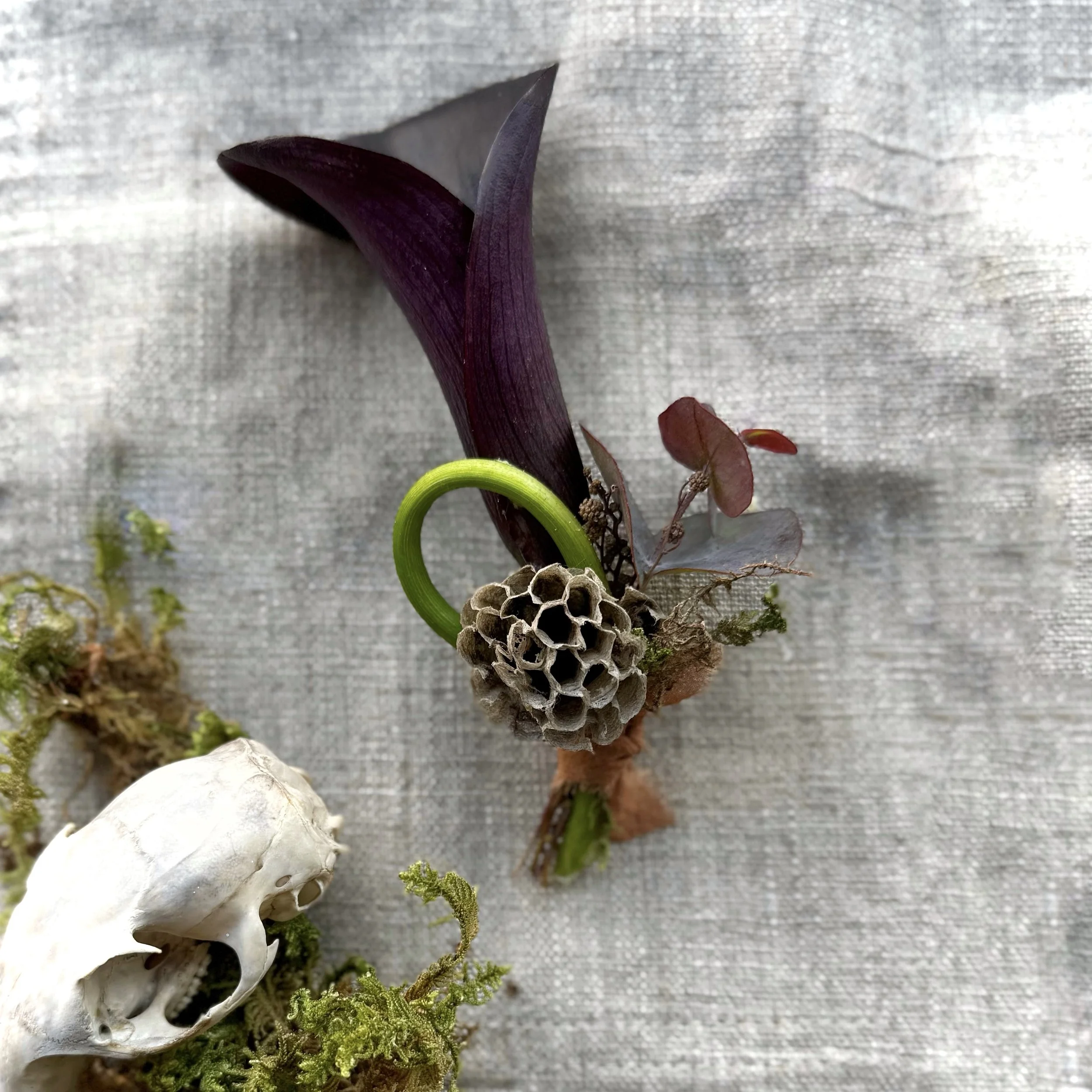 A creative arrangement of natural elements including a dark purple leaf, a green curling stem, a small cone, and some tiny red and green leaves, placed on a textured gray background.