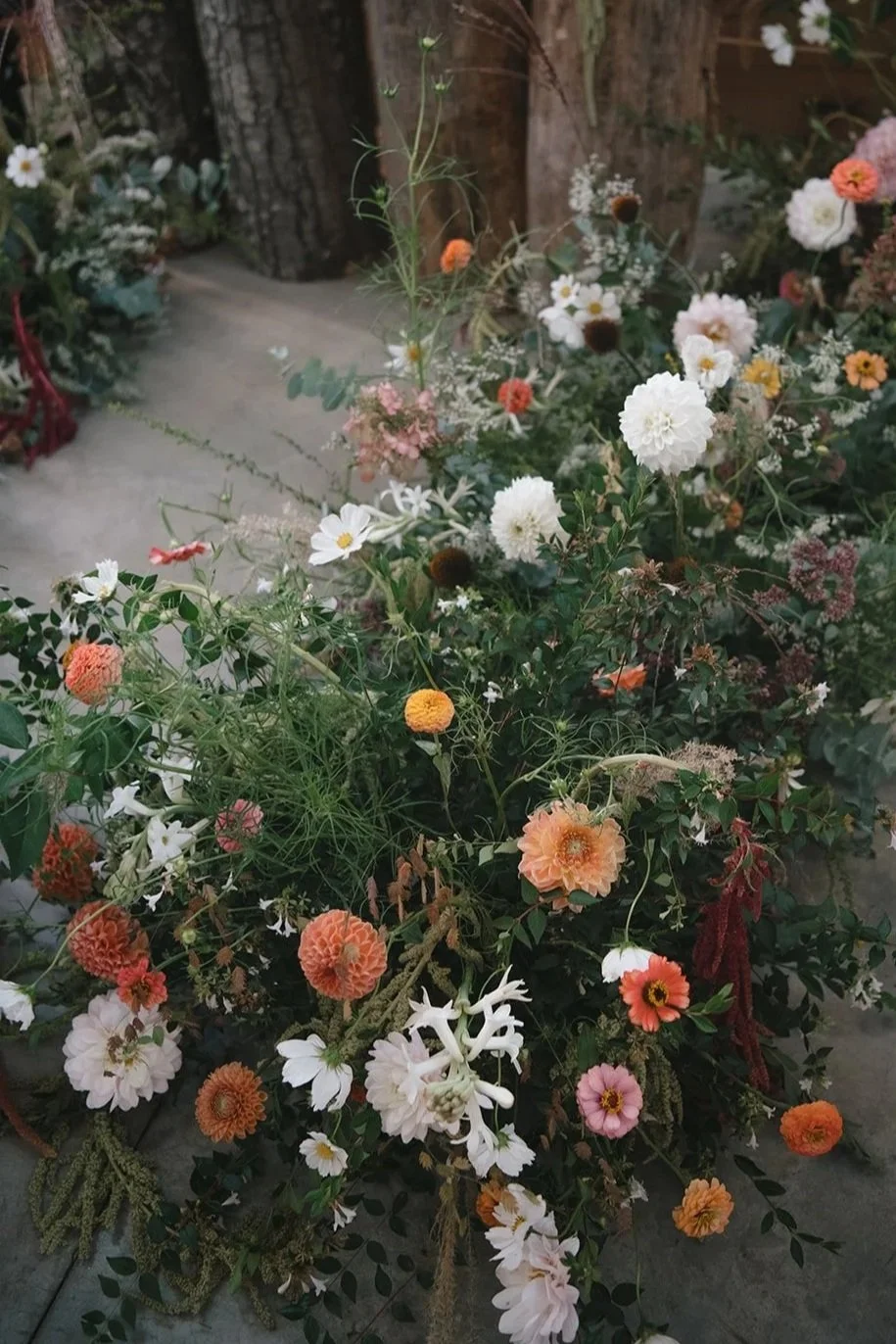 A variety of colorful flowers in a garden with a wooden fence and concrete pathway in the background.