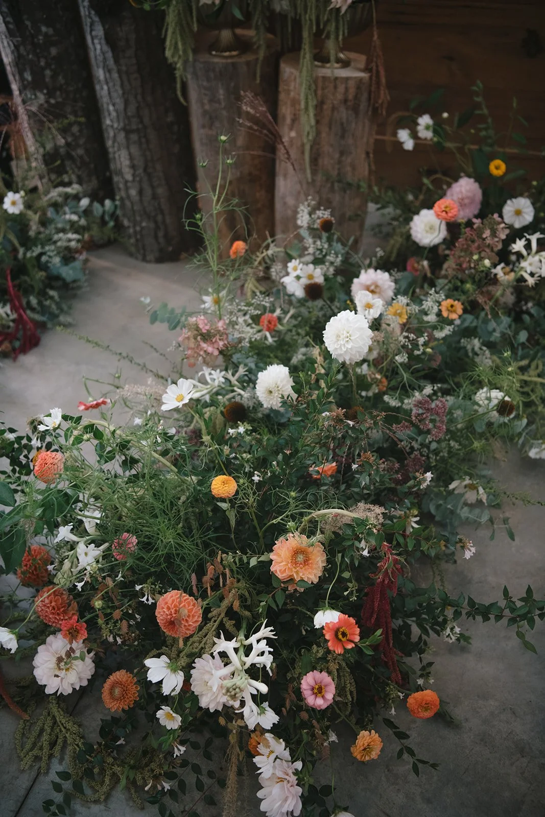Cecilia Photography Co