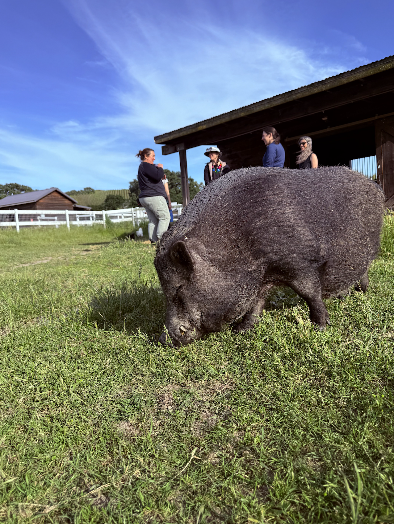 Screenshot 2026-04-21 at 8.02.00 AM.png