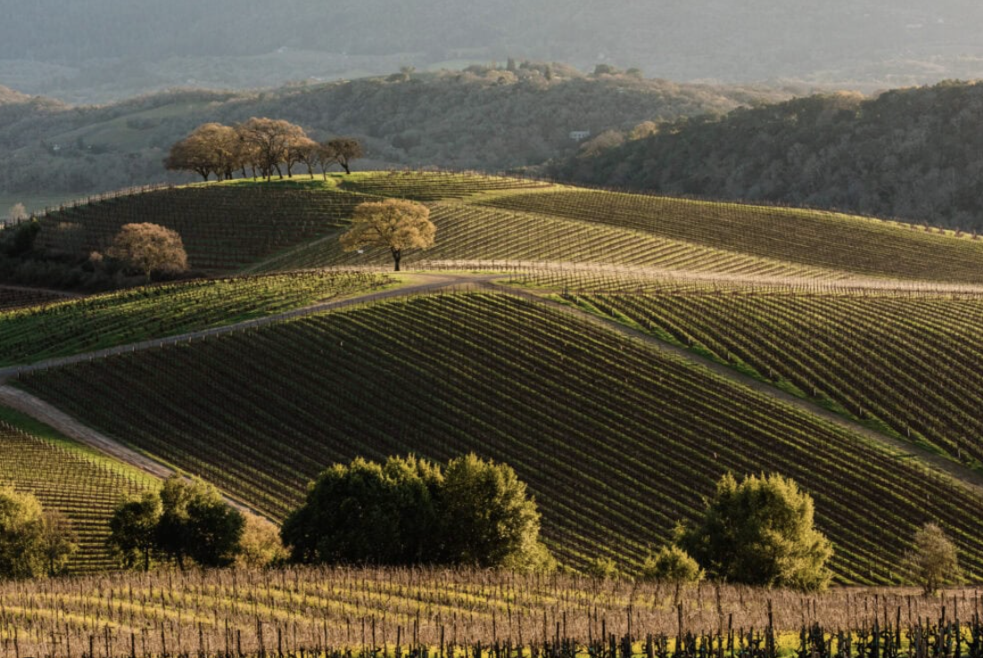 Sonoma, ca