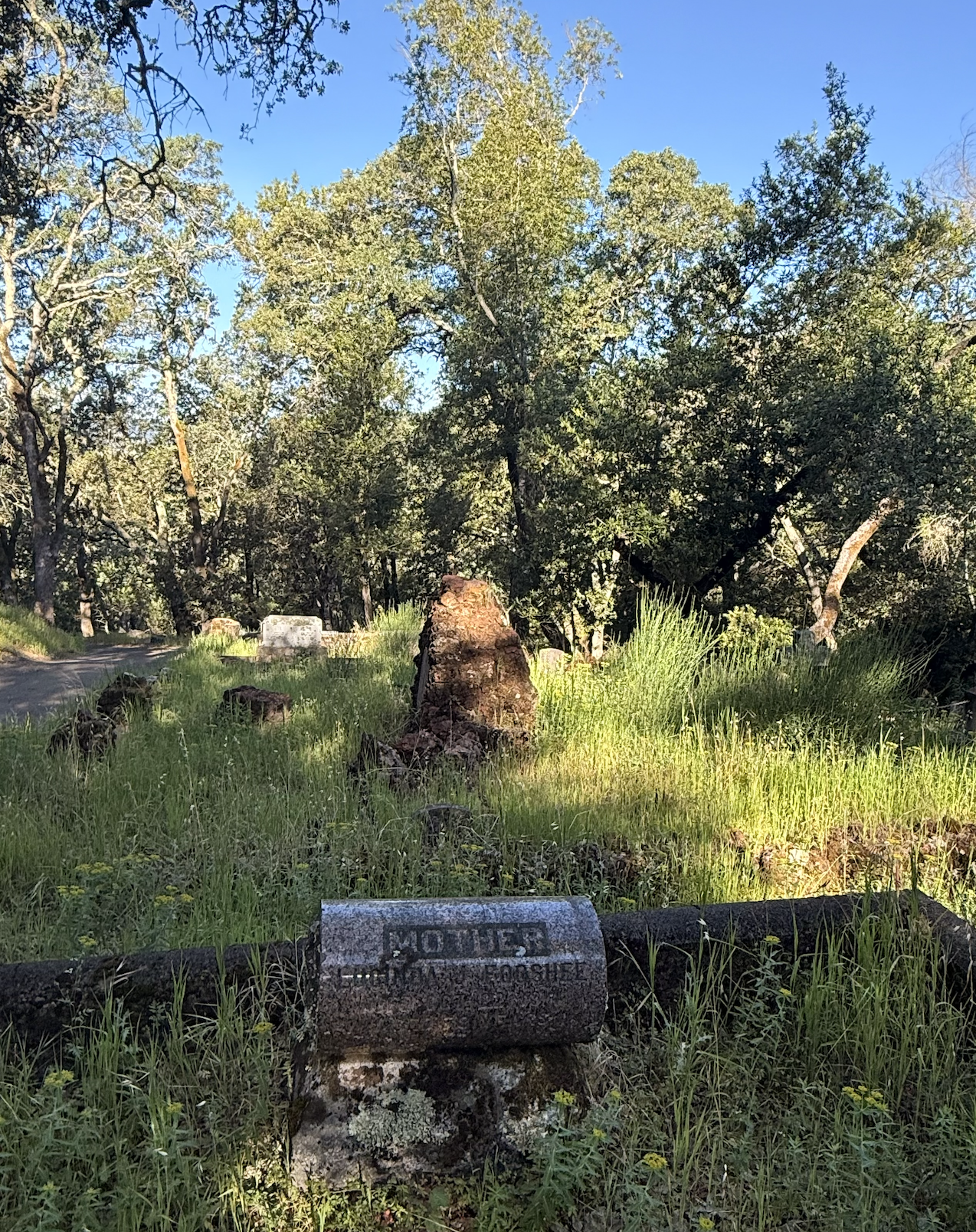 historic cemetery Sonoma 1840s headstone marked MOTHER