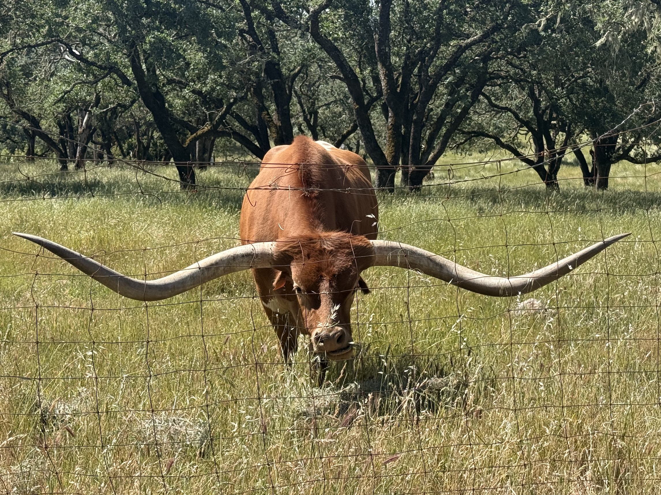 Screenshot 2026-04-21 at 8.00.34 AM.png