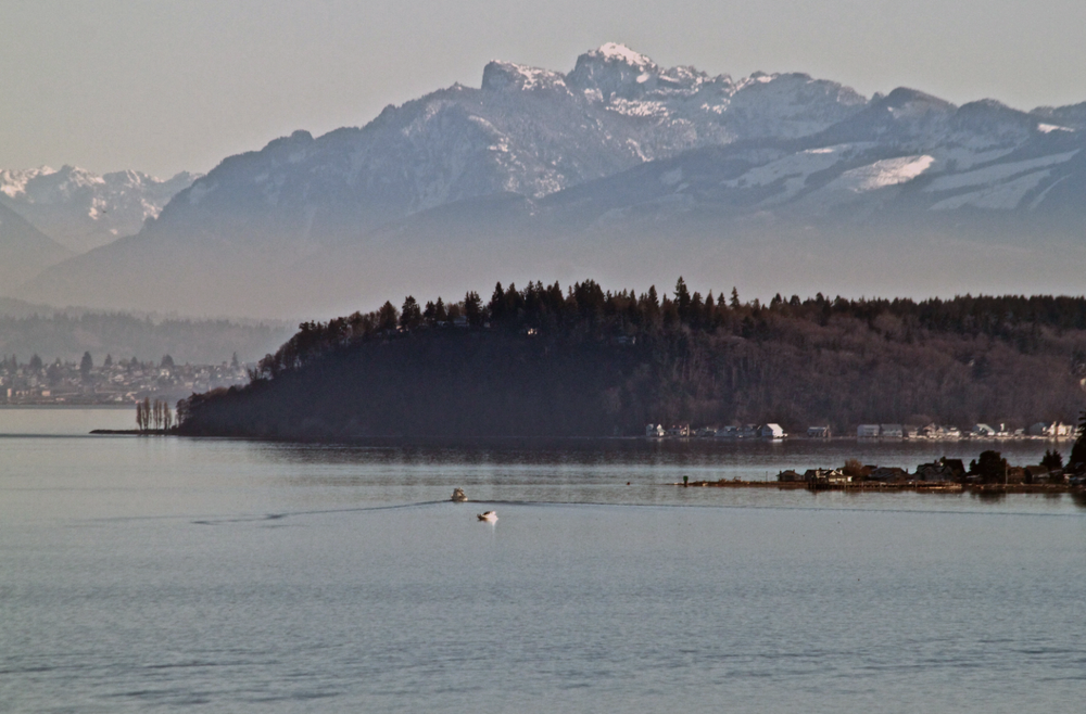Penn Cove shoreline with the snow-capped Olympic Mountains beyond