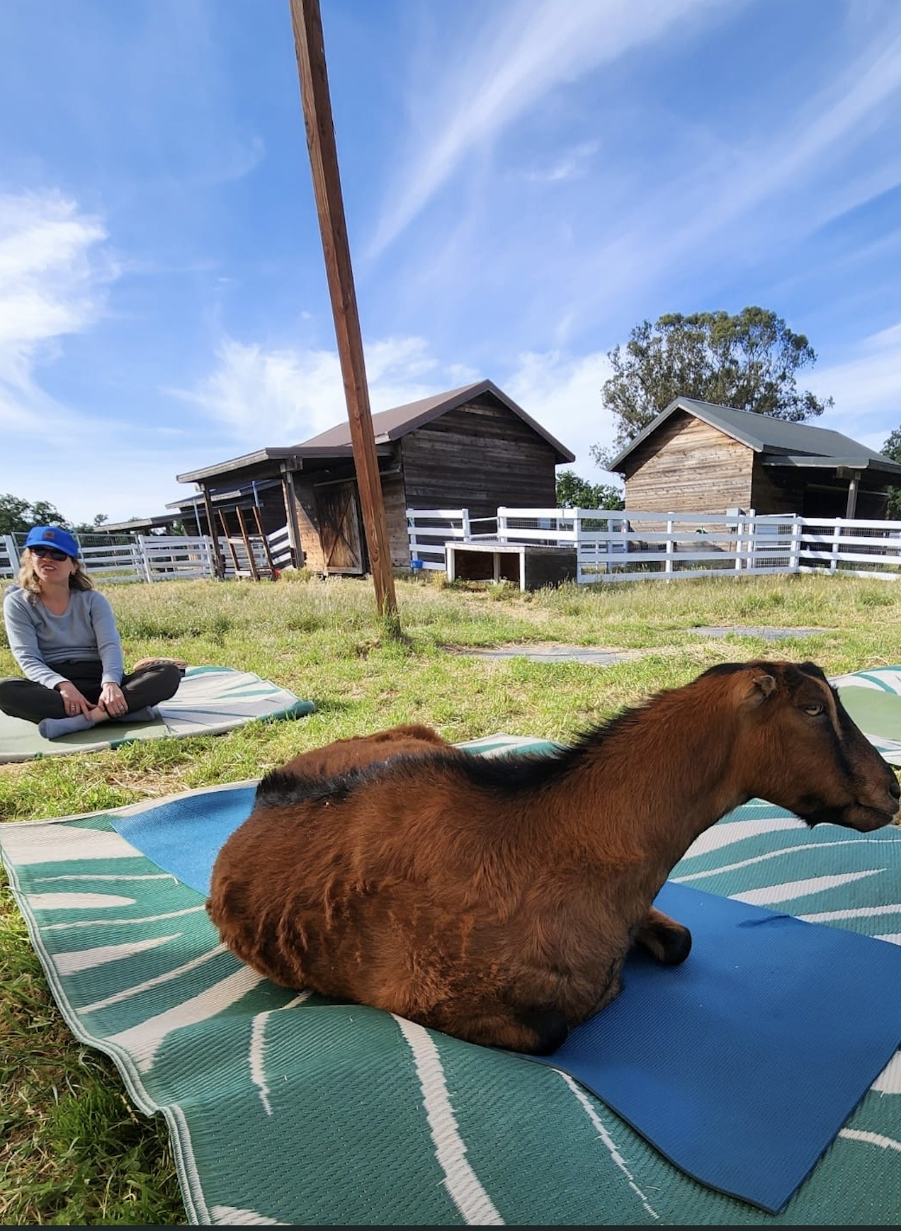 Screenshot 2026-04-21 at 8.00.24 AM.png