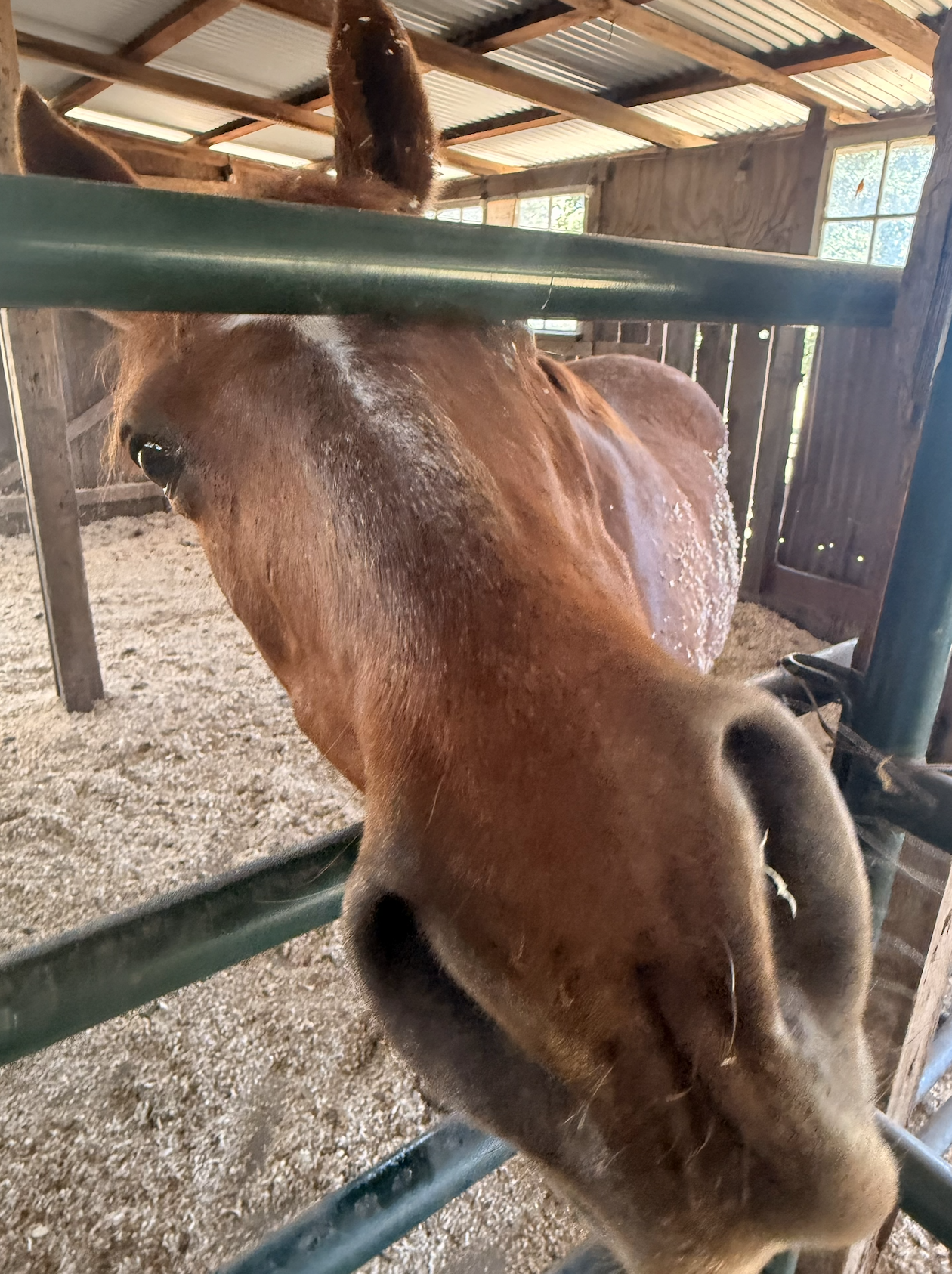 Screenshot 2026-04-21 at 8.00.50 AM.png